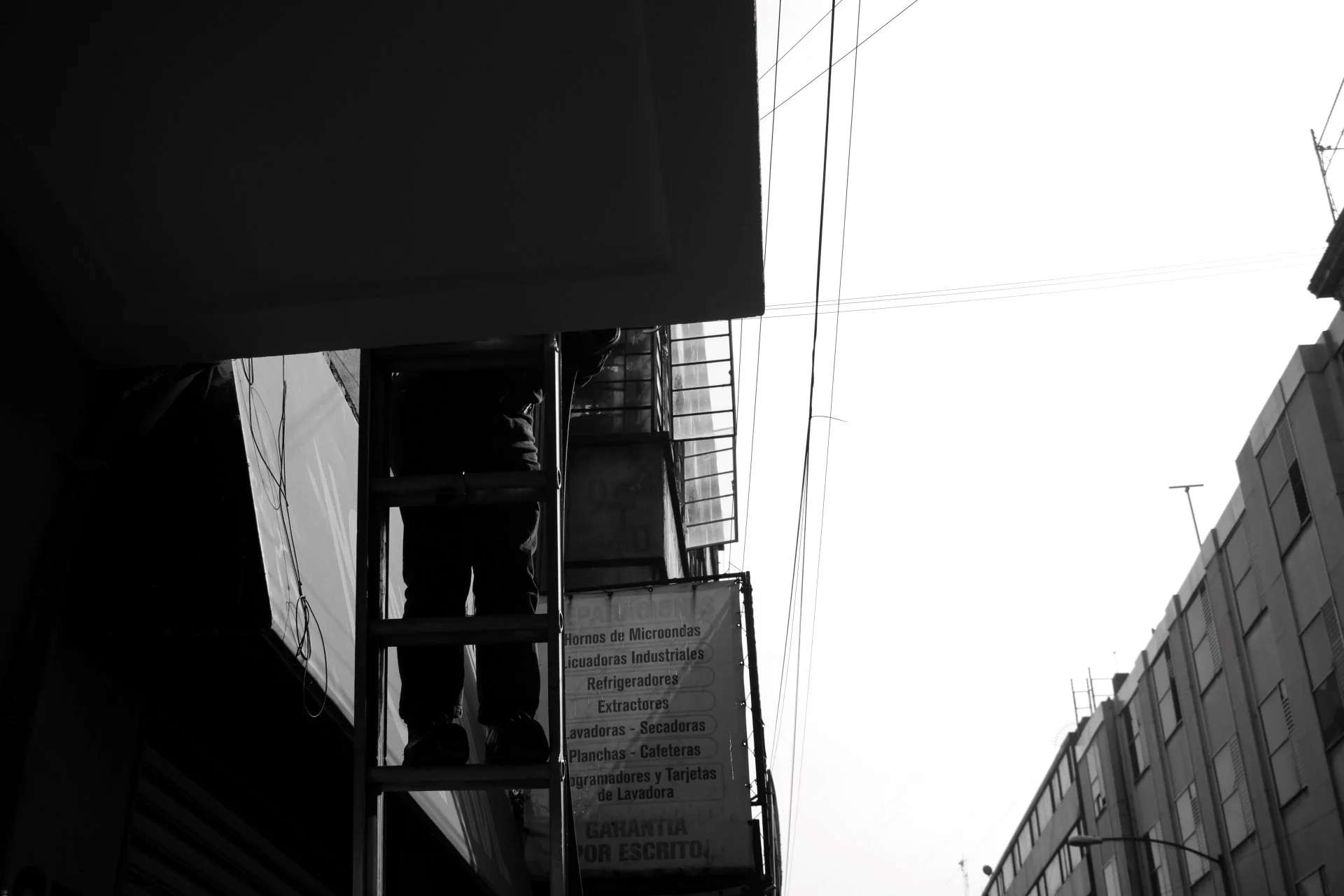 20251105-IMG_0017.jpg