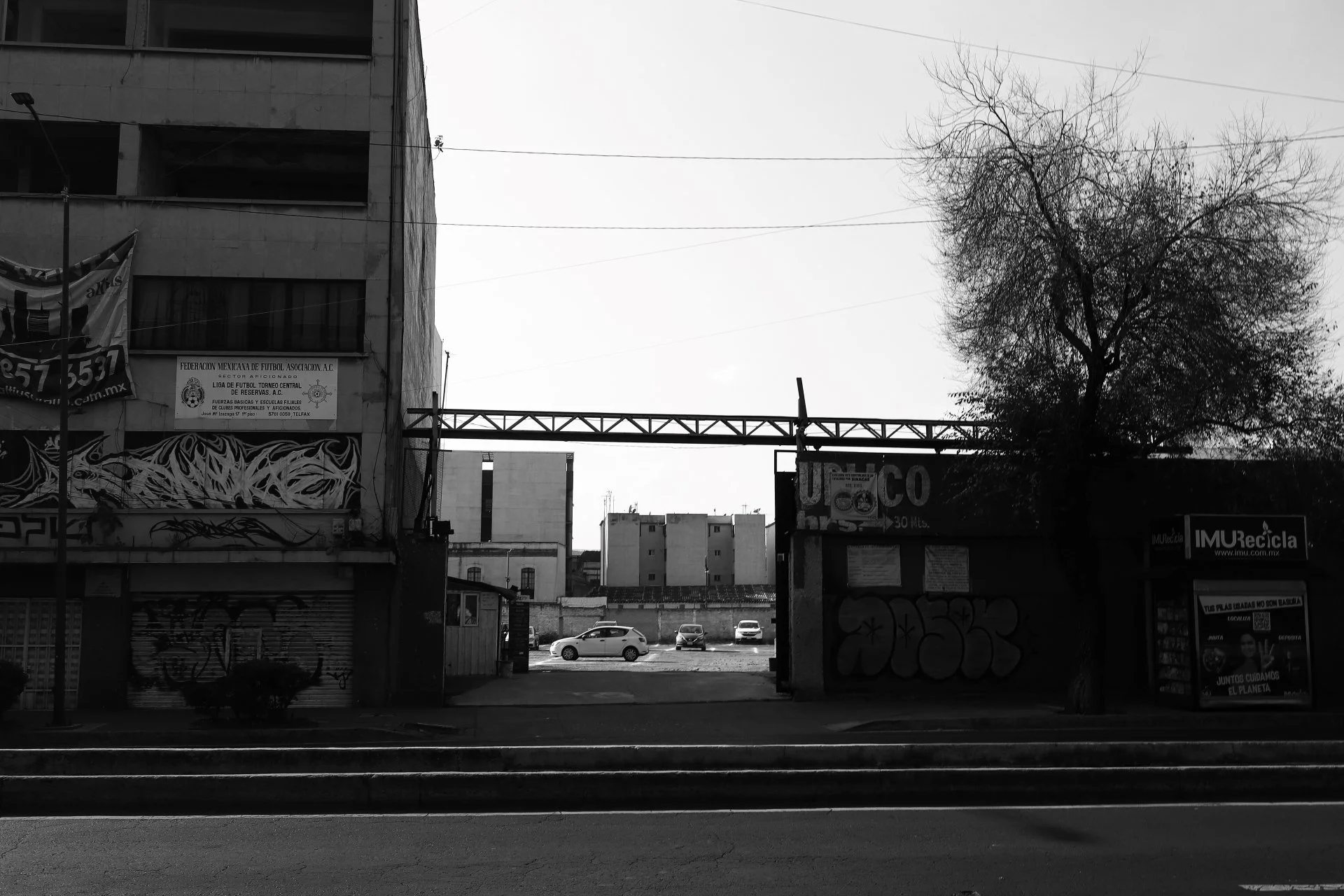20251129-IMG_0082.jpg