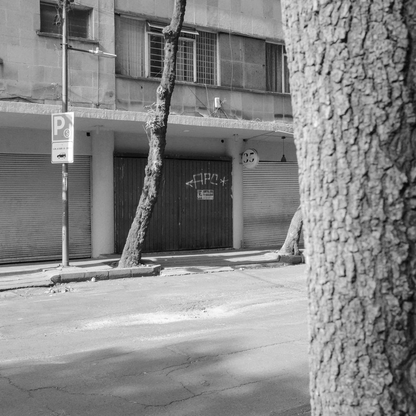 1:1

Please note: This is native 1:1 jpg straight from the camera