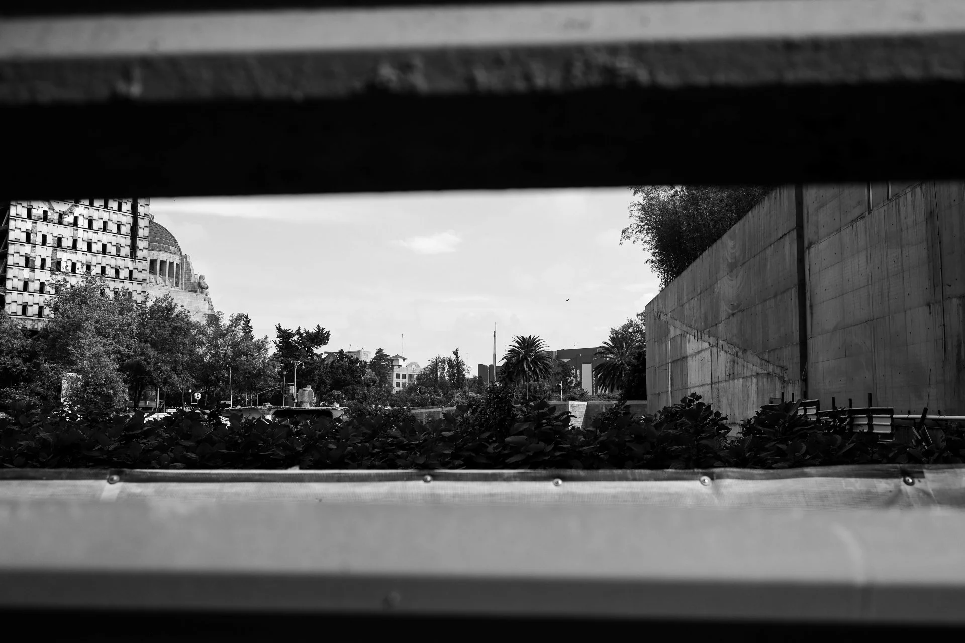 IMG_0022.jpg