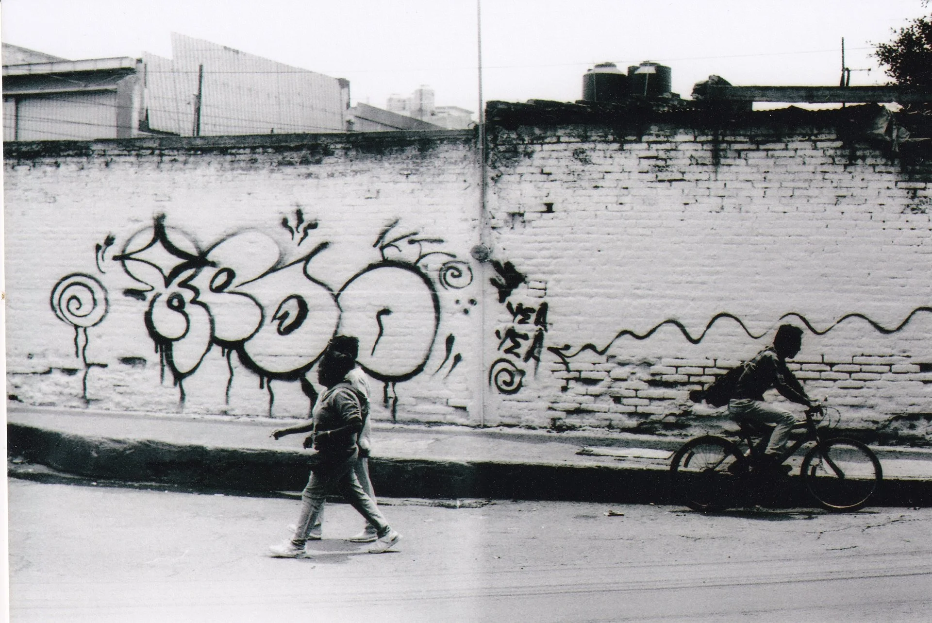 ALEX_20260708_0009.jpg
