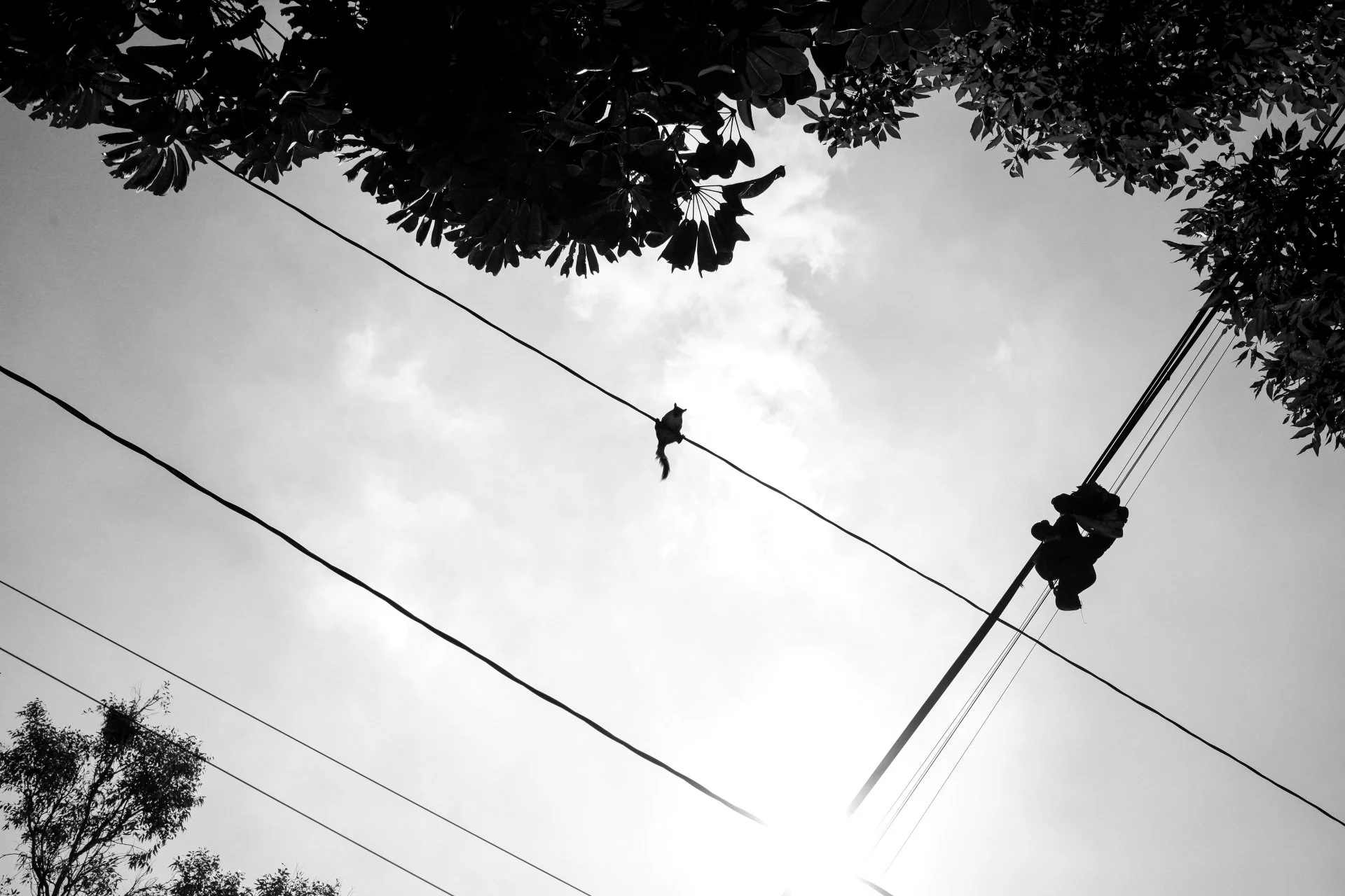IMG_0015.jpg