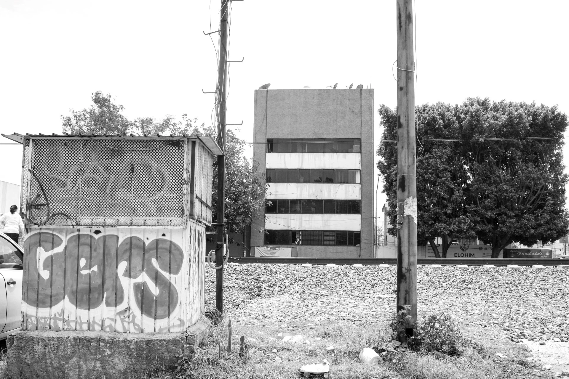 Black and white photo of an urban scene with a building, utility poles, a graffiti-covered structure, trees, and a woman walking on the sidewalk.