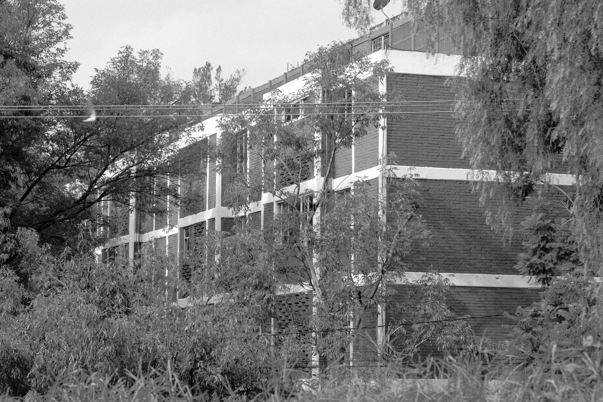 A brick building with exterior stairs, surrounded by trees and power lines in the foreground.