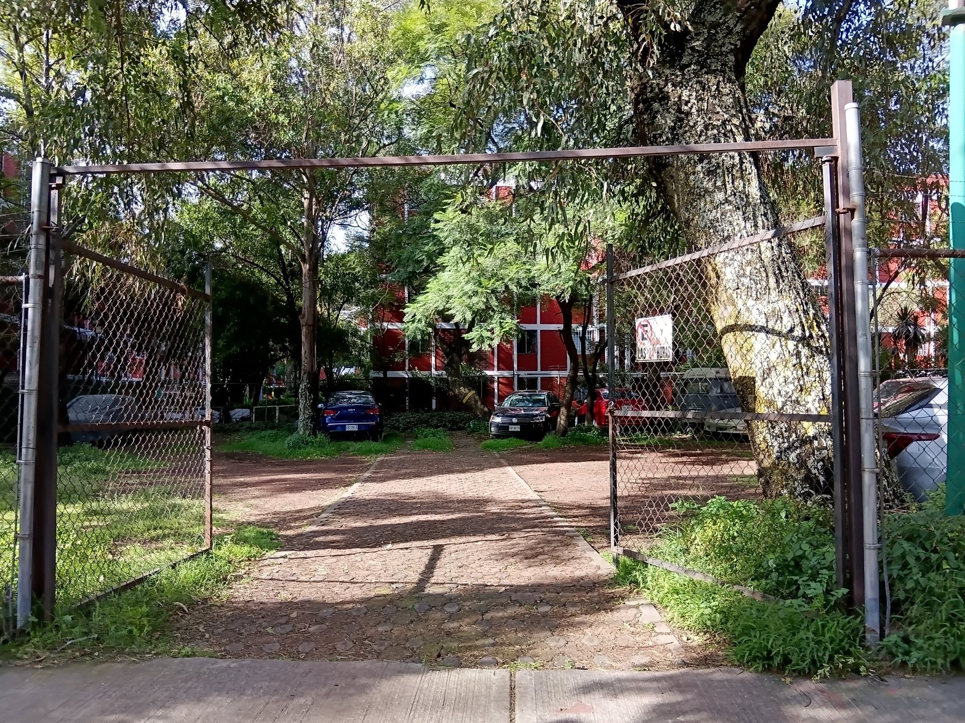 20260918_083818.jpg