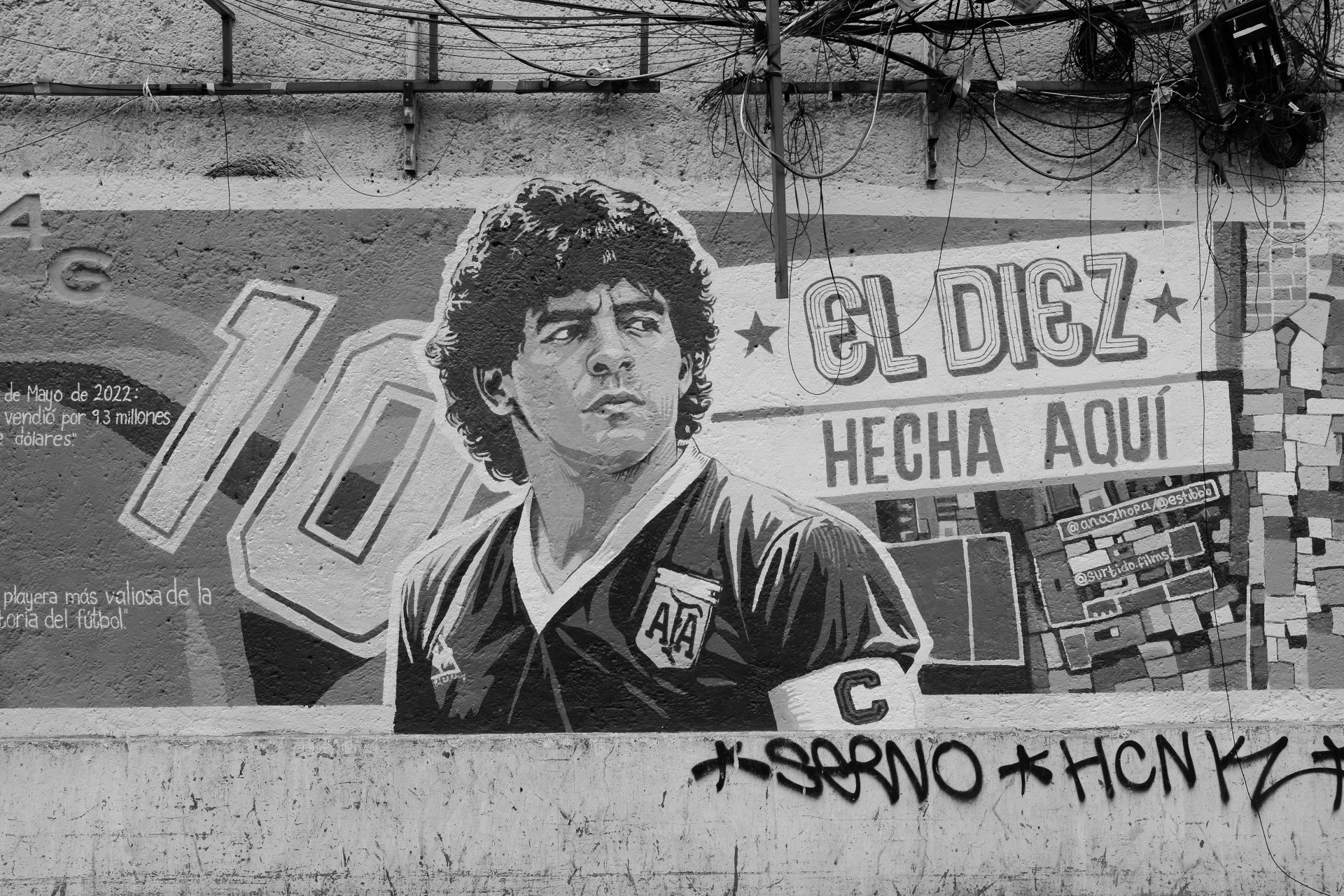 ALEX0100.jpg