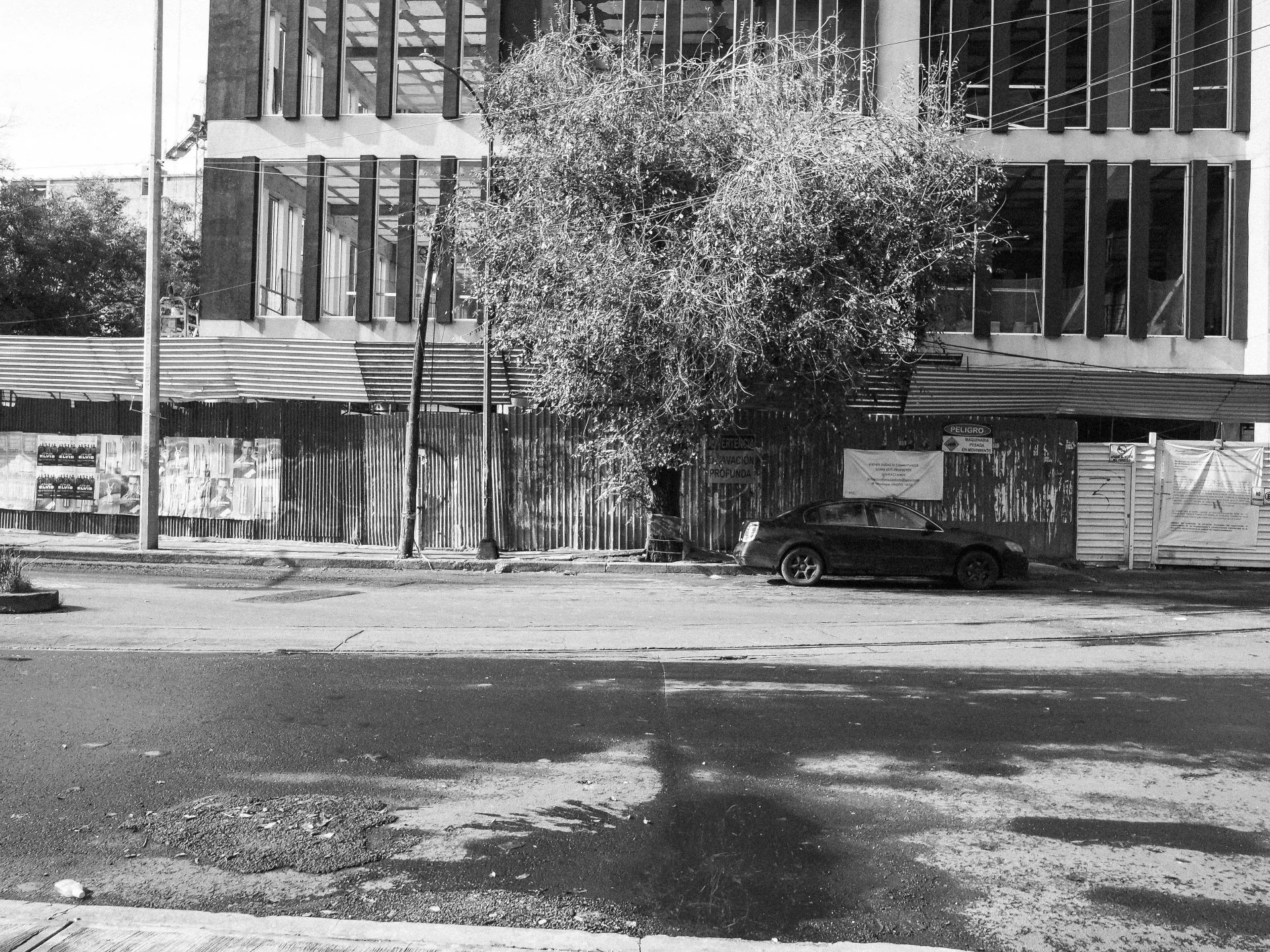 TOPOGRAPHICA B&W (22).jpg