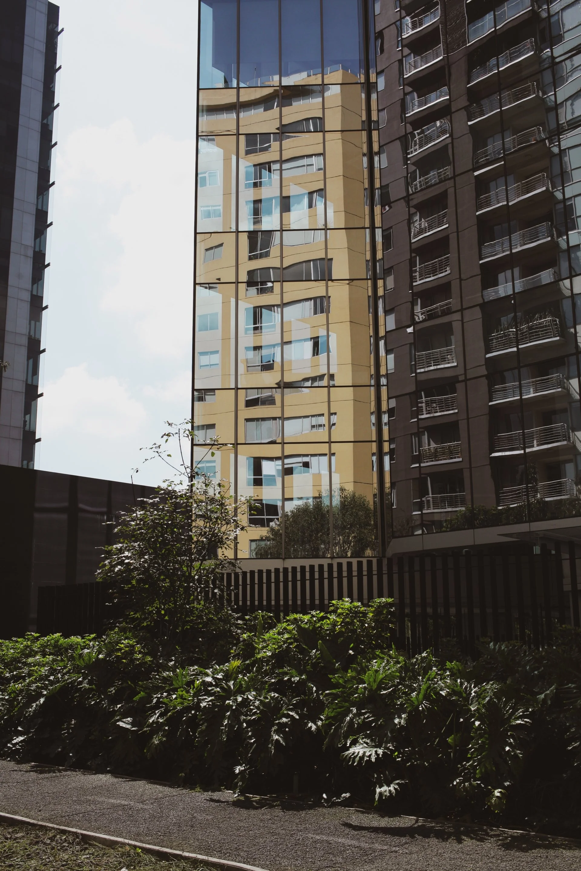 Reflected modern apartment buildings seen through glass windows, with greenery and plants in the foreground.