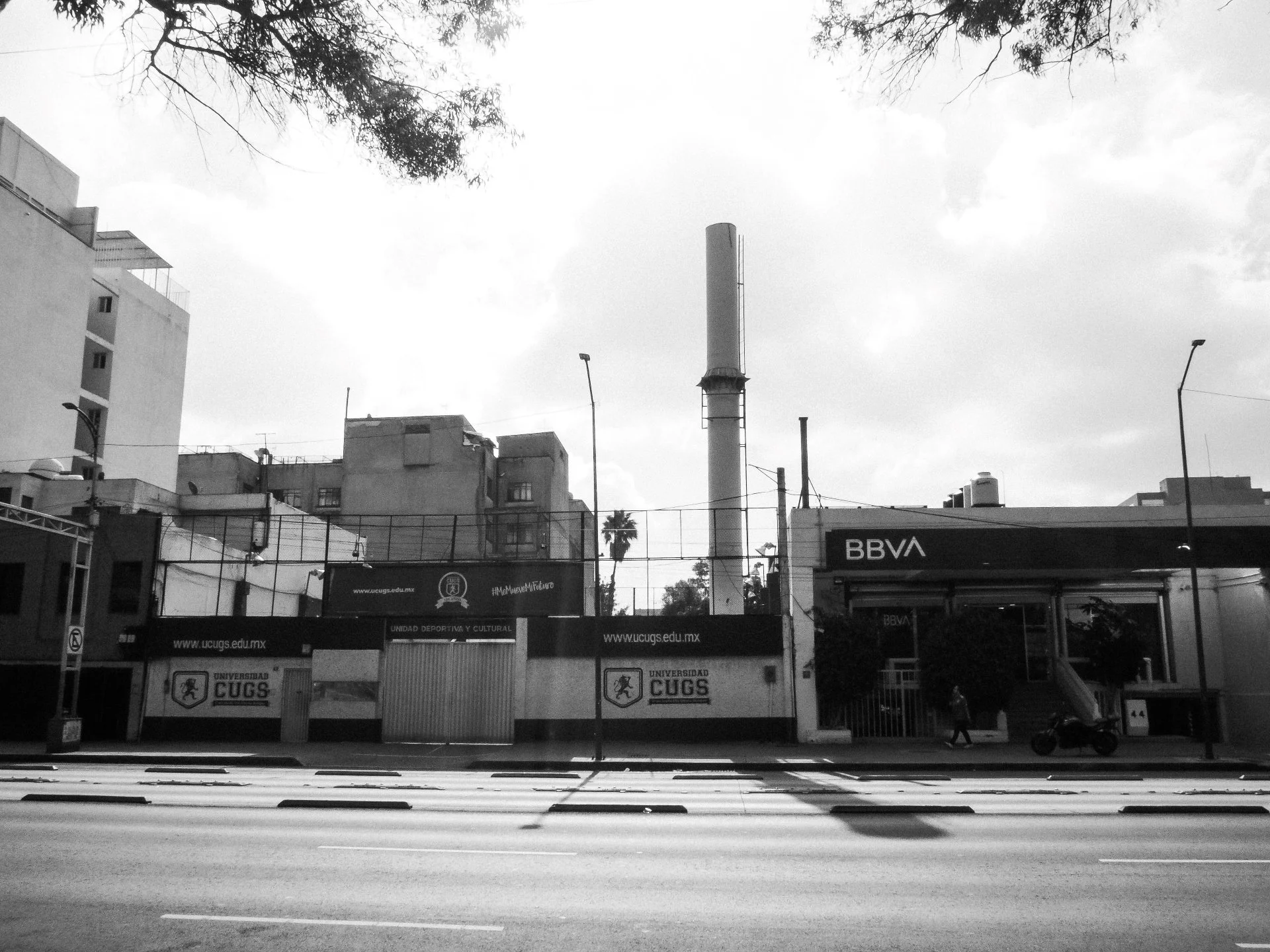 TOPOGRAPHICA B&W (13).jpg