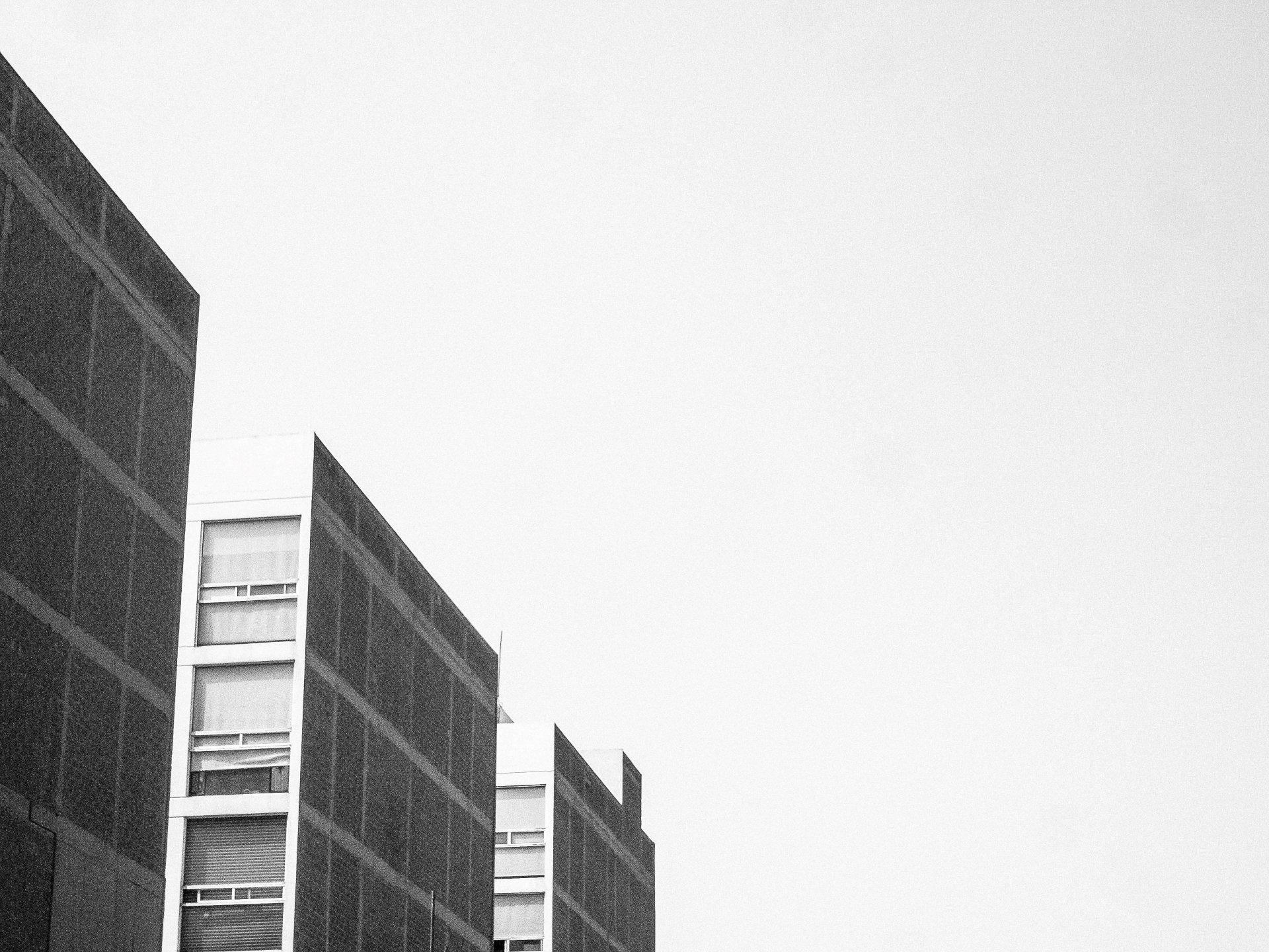 TOPOGRAPHICA B&W (36).jpg