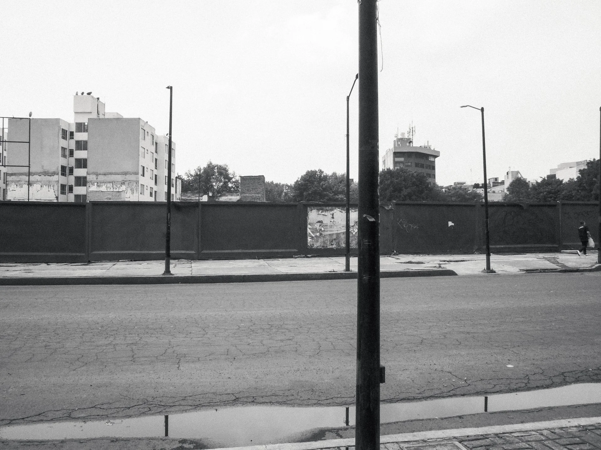 TOPOGRAPHICA B&W (16).jpg