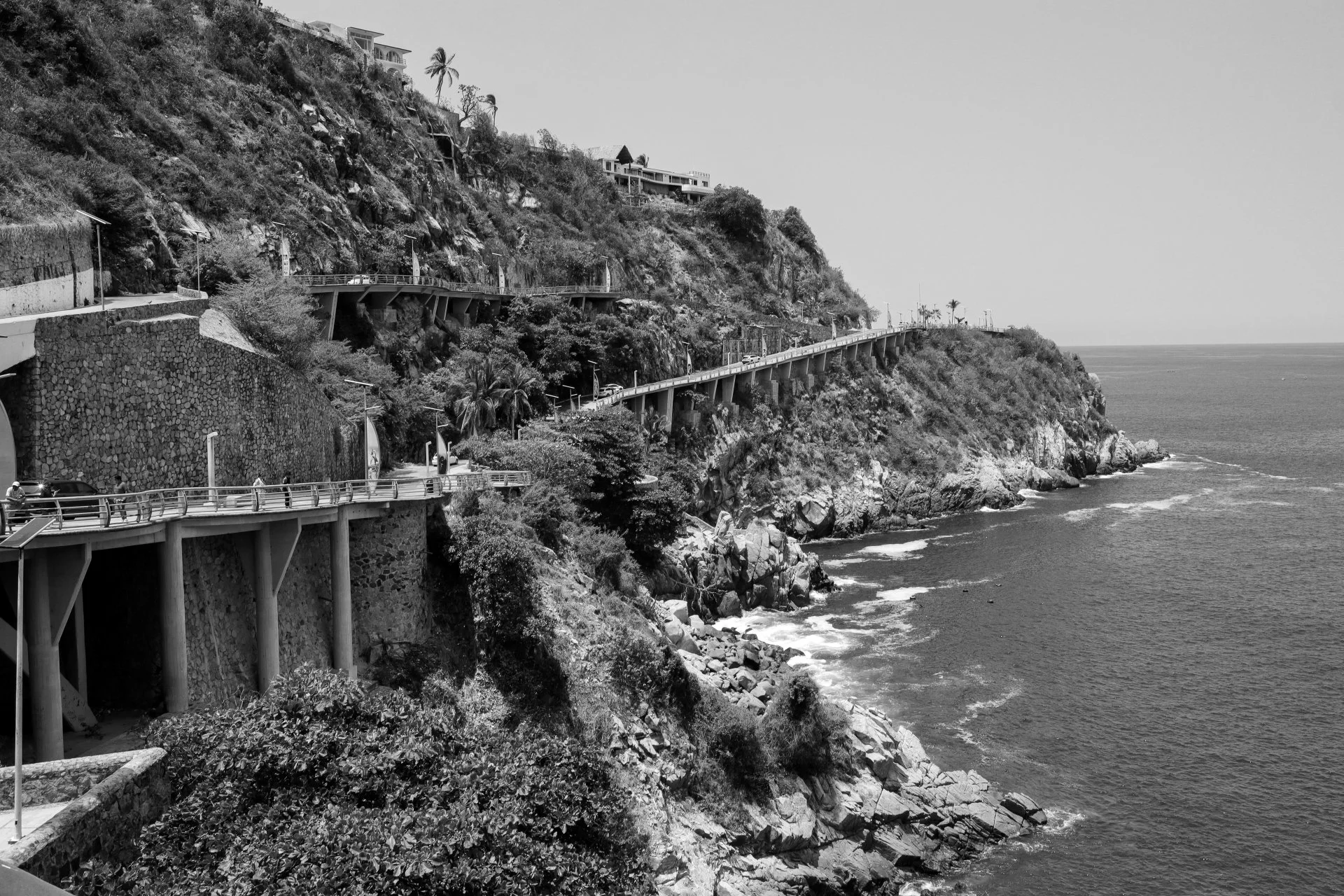 A black and white photo of a coastal hillside with houses and palm trees, a road with cars, and a body of water below.