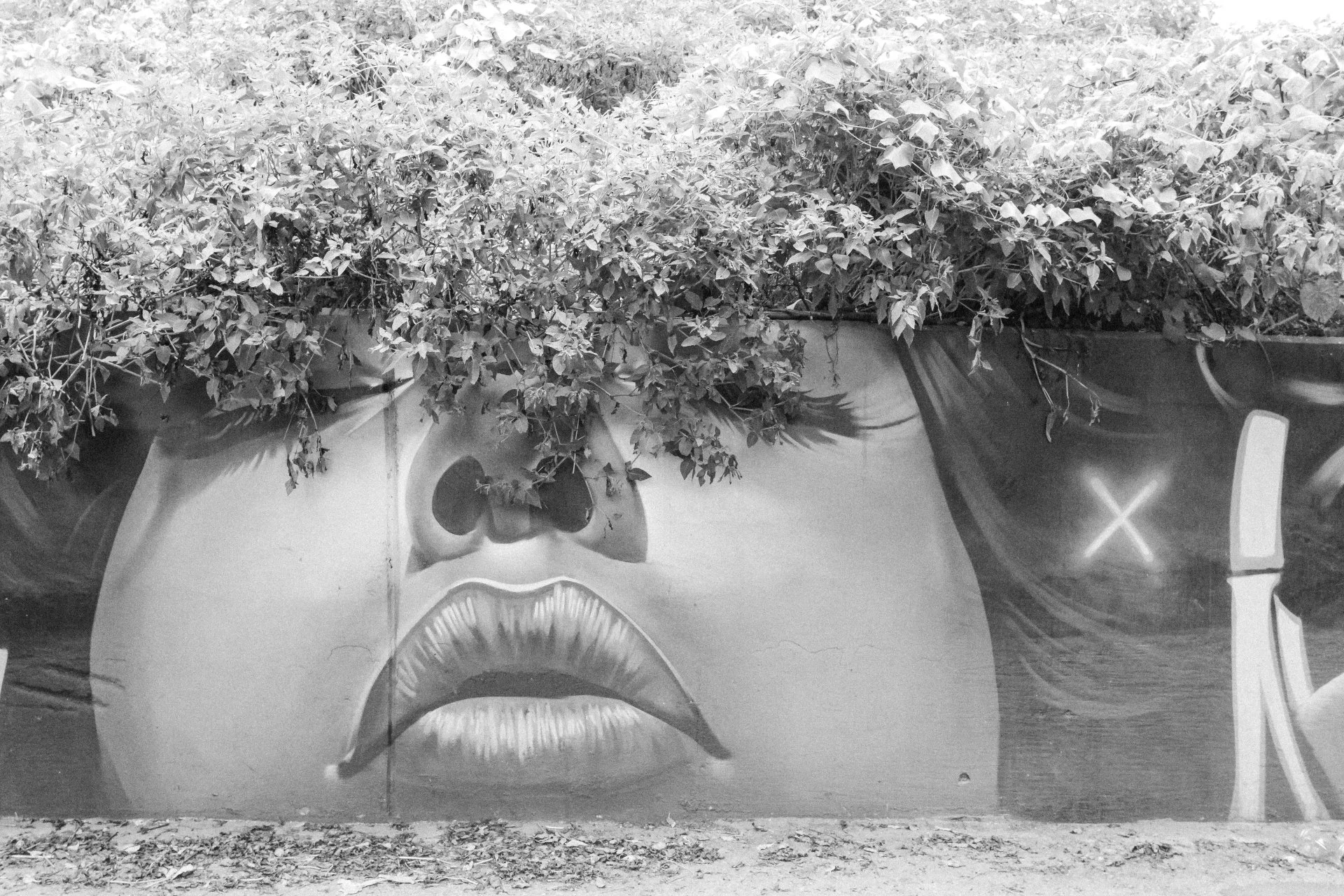 TOPOGRAPHICA B&W (15).jpg