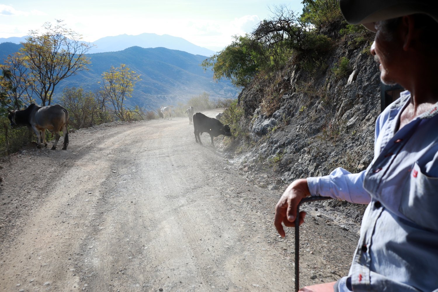 July: time to reserve your spot in the Day of the Dead Expedition