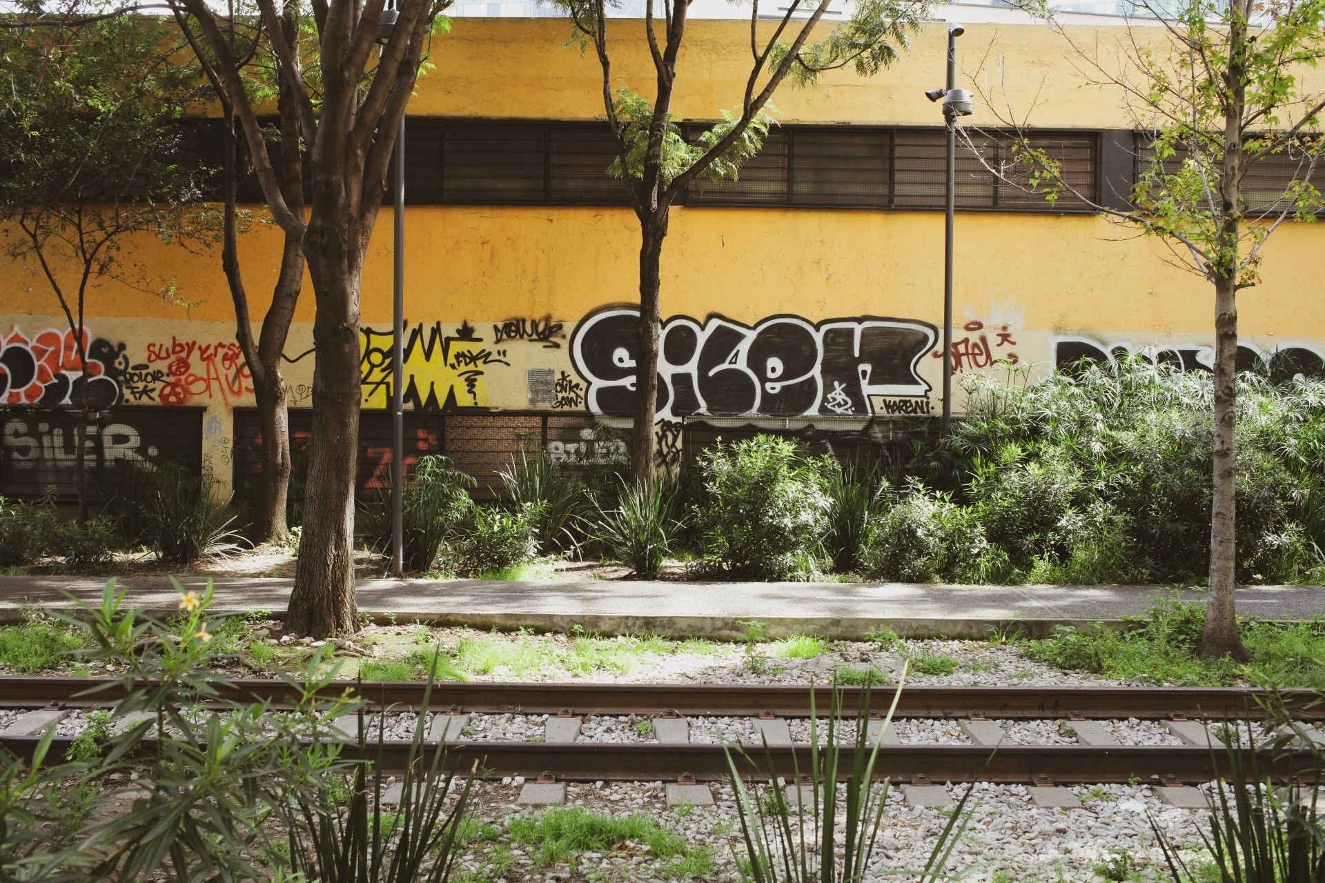 Graffiti art on a yellow wall behind trees and bushes, near a railway track.