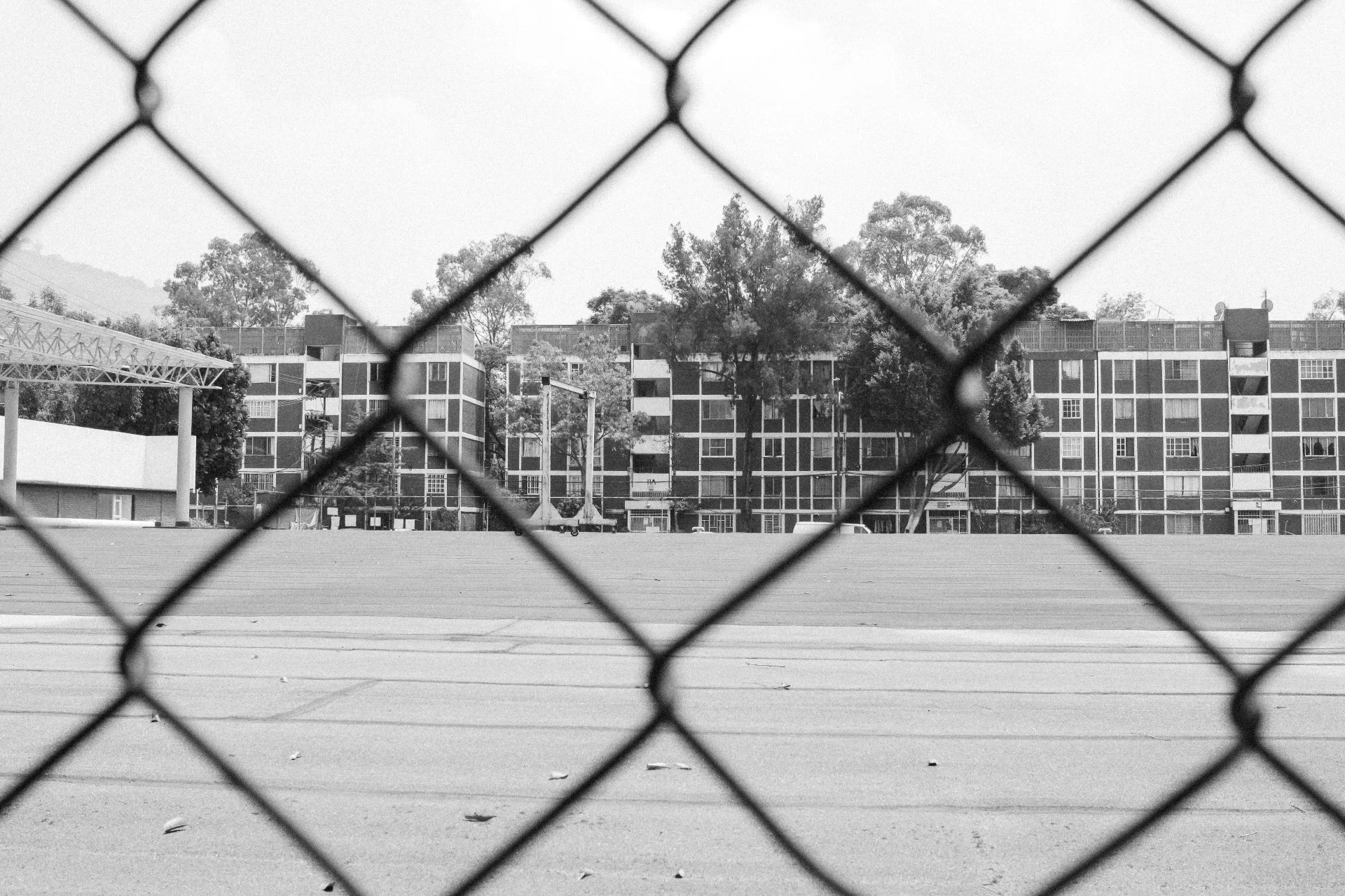 TOPOGRAPHICA B&W (18).jpg