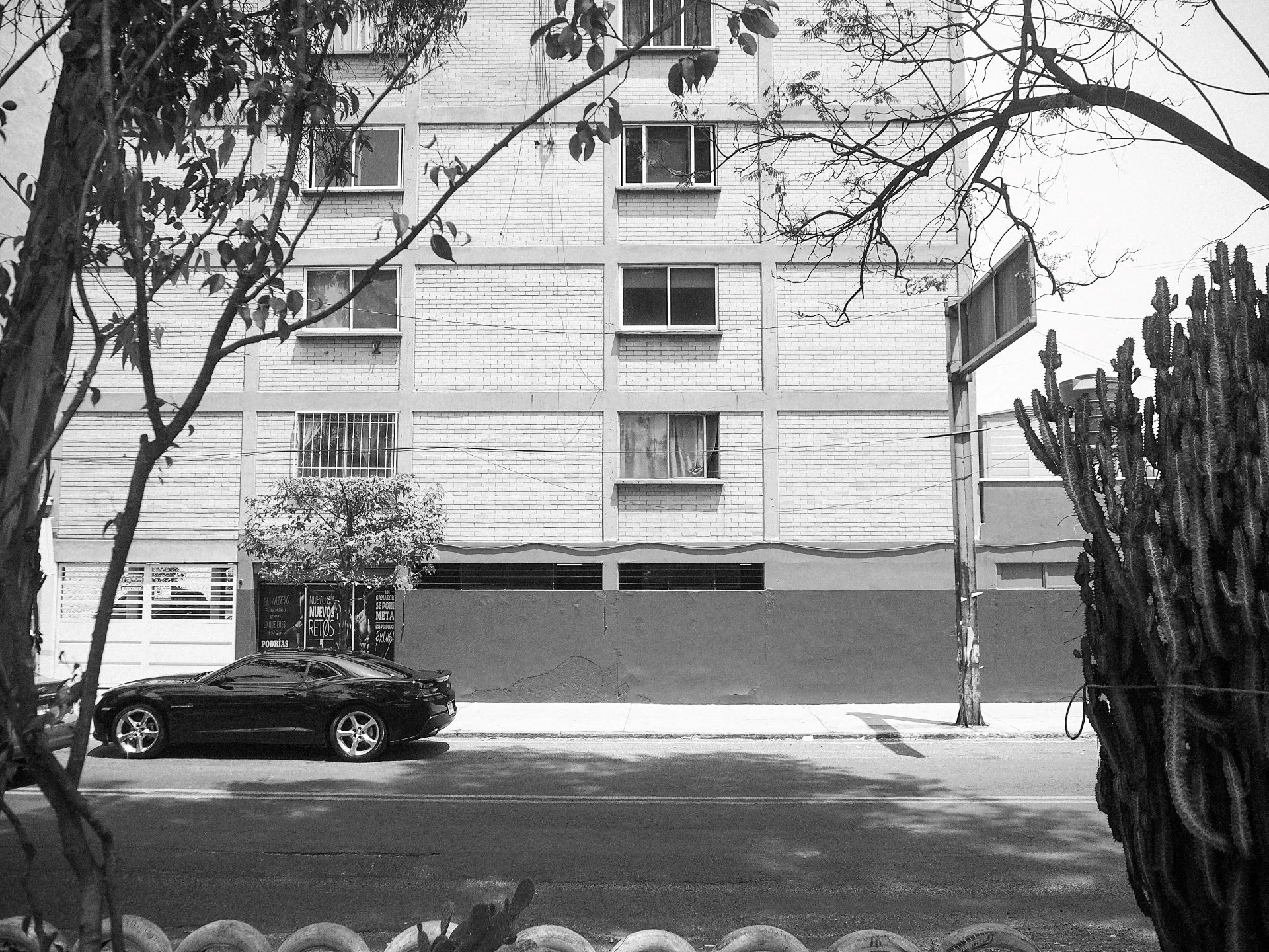 TOPOGRAPHICA B&W (40).jpg