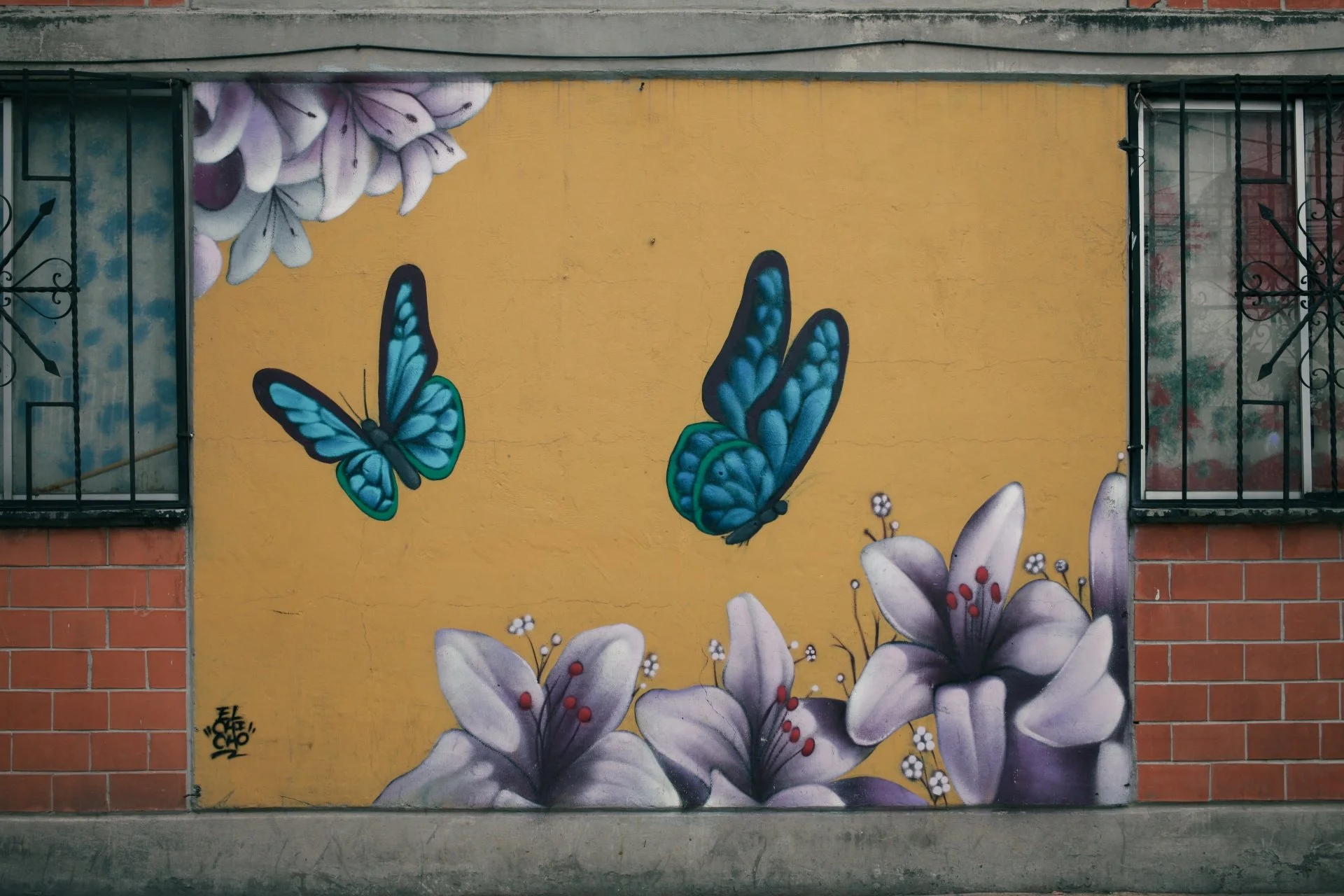 Colorful mural of blue butterflies and various flowers on a yellow wall, flanked by brick walls and windows with decorative metal bars.