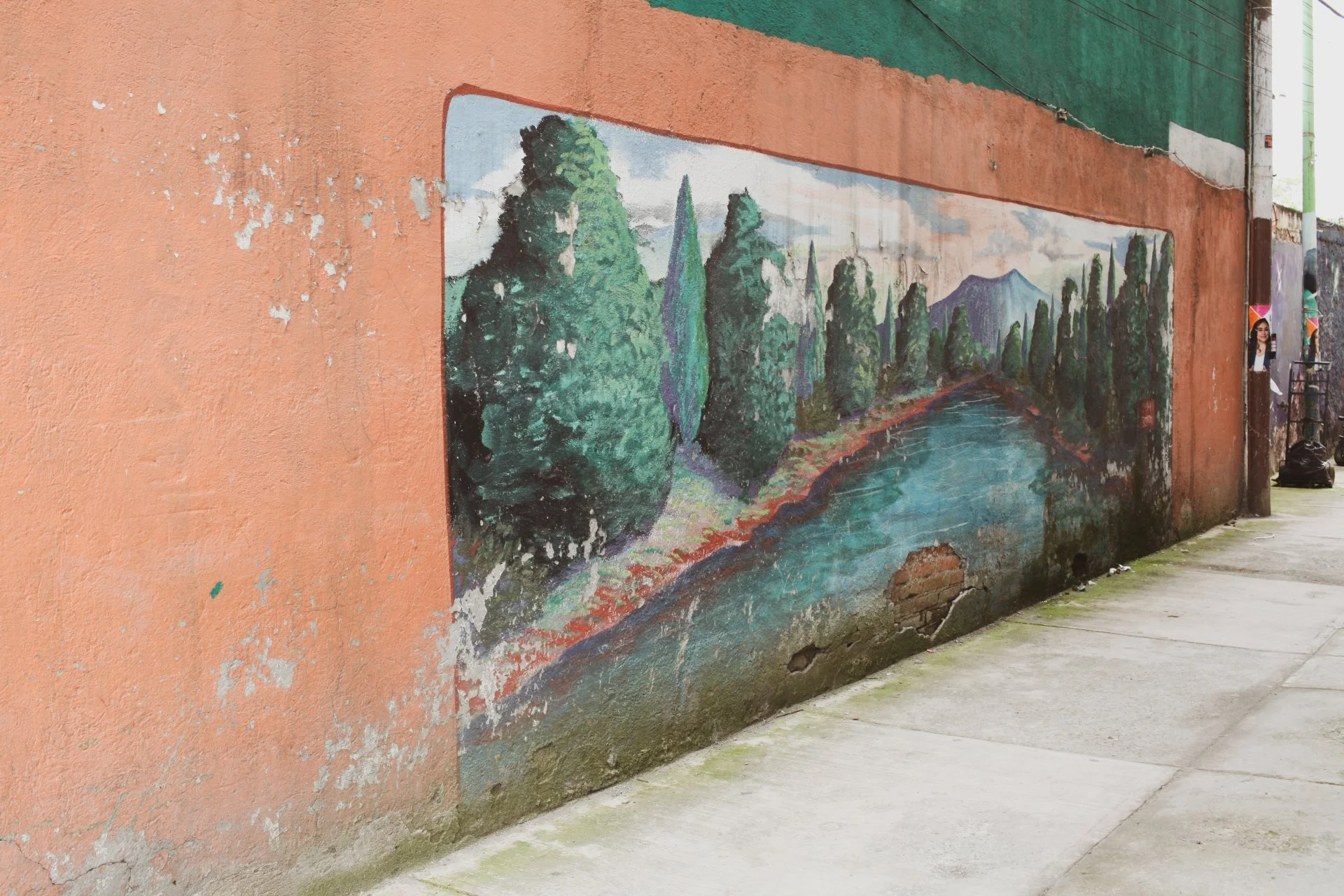 A colorful mural painting of a landscape with trees, mountains, and a river on a weathered peach-colored wall.
