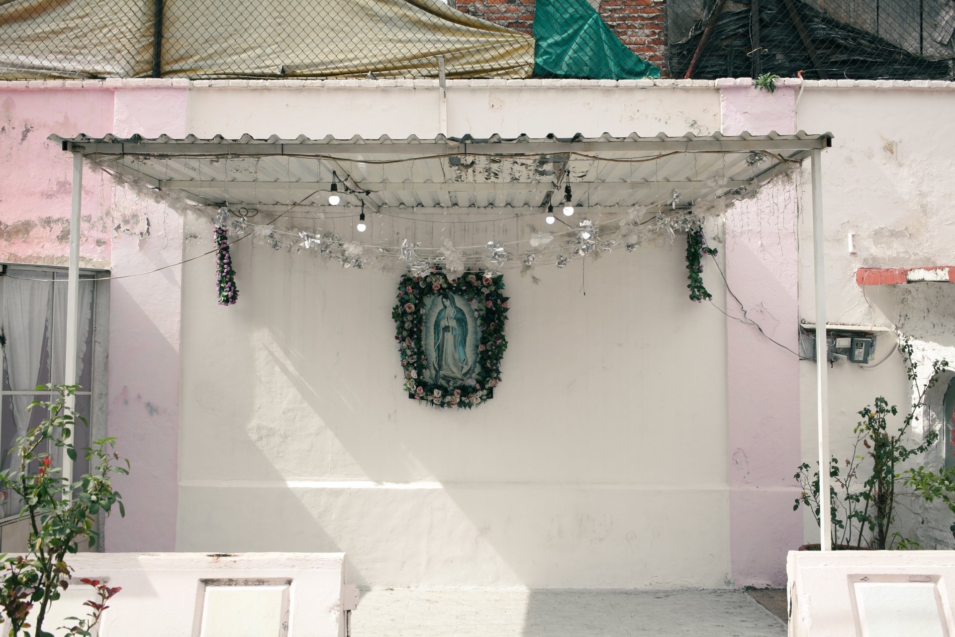 A white wall decorated with a religious picture of Our Lady of Guadalupe surrounded by pink and white artificial flowers, with string lights and decorations hanging from the ceiling, and two plants in the front.