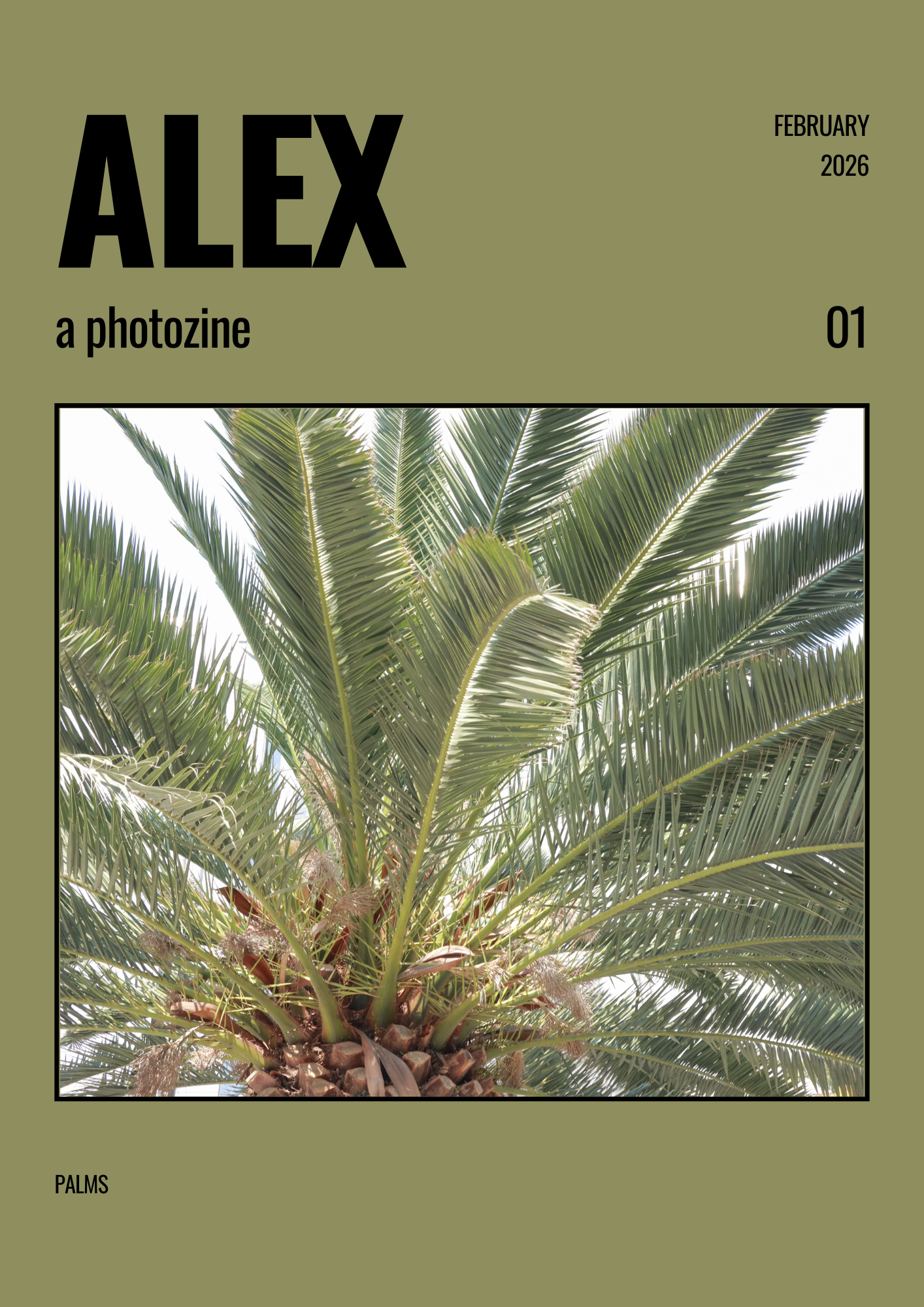 ALEX -  ISSUE 1 - FEBRUARY 2026 - palms