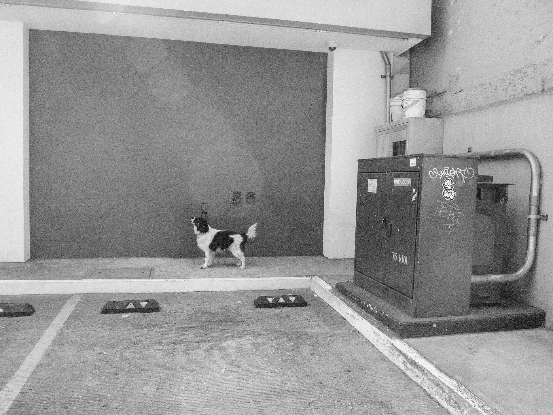 TOPOGRAPHICA B&W (49).jpg