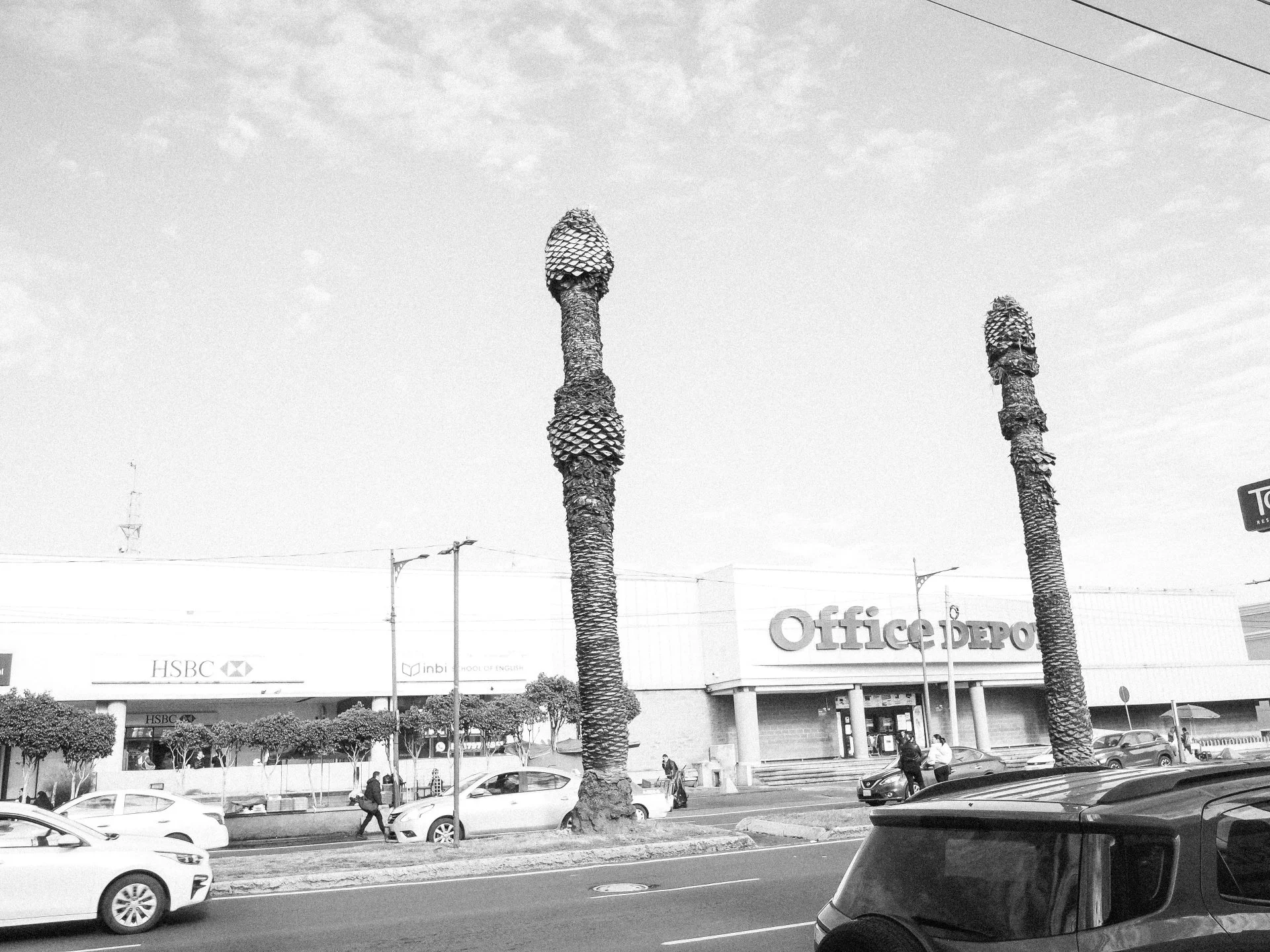 TOPOGRAPHICA B&W (27).jpg