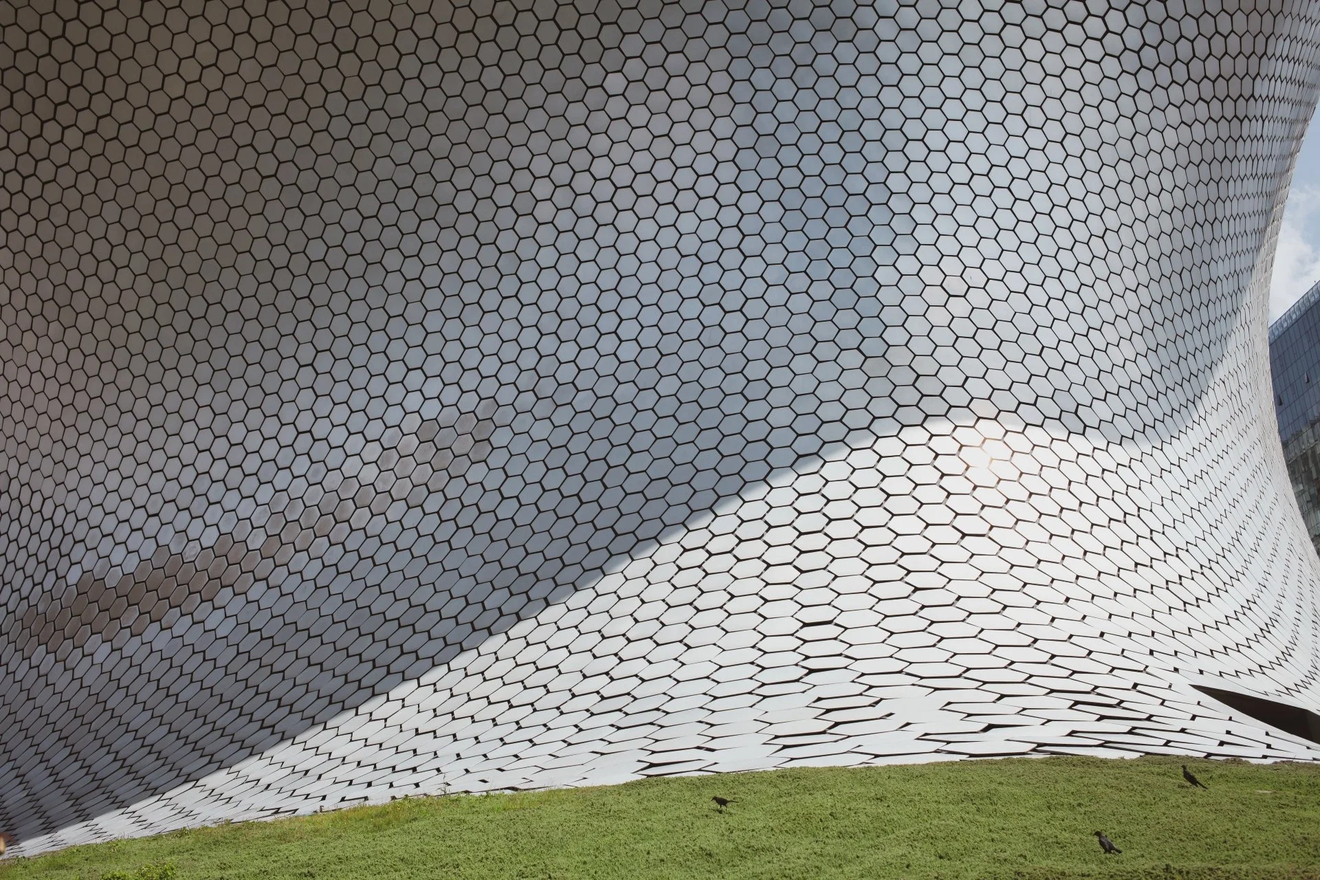 A futuristic building with a curved exterior covered in small hexagonal tiles, with the sky and some birds in the foreground.