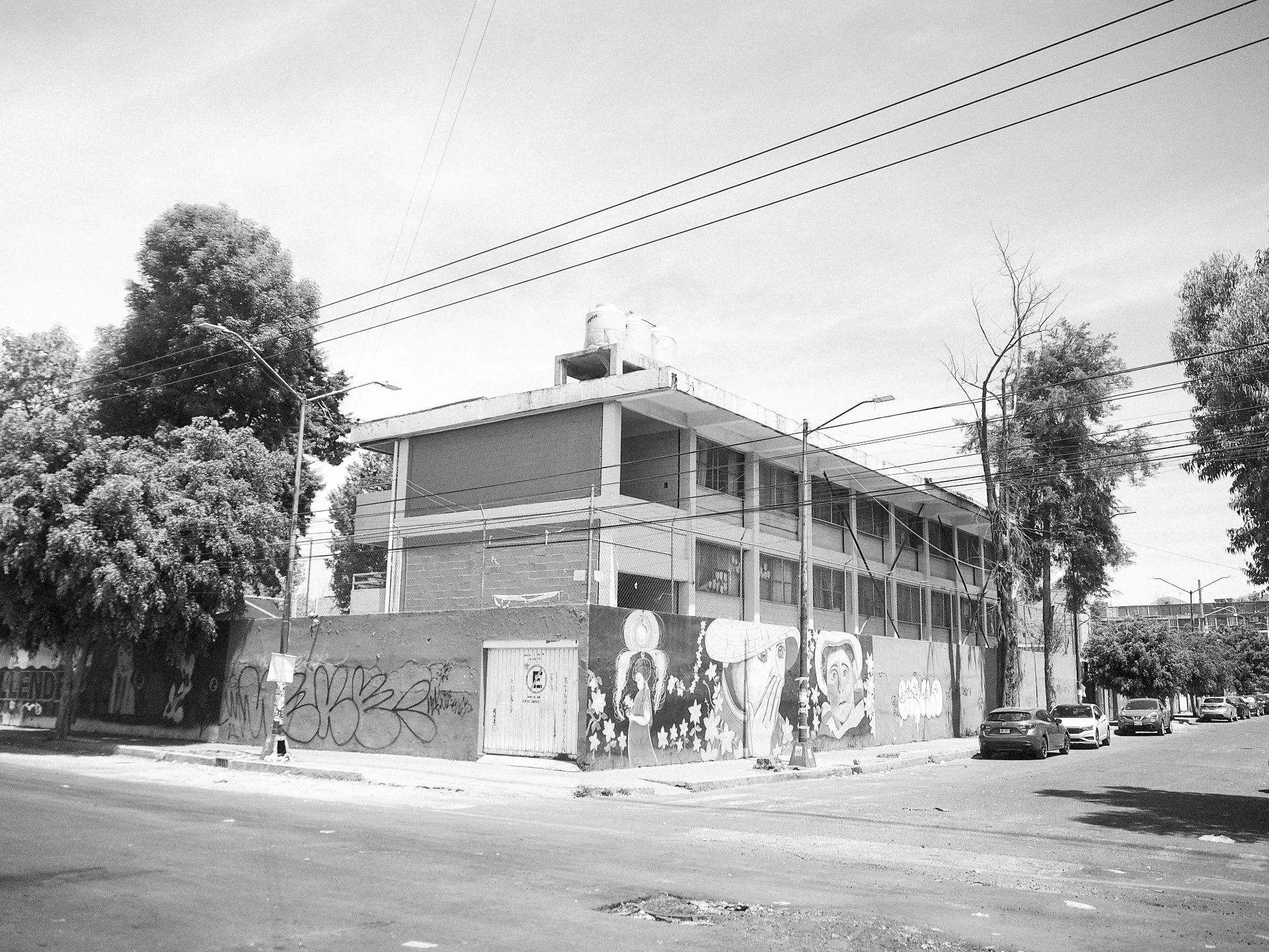 TOPOGRAPHICA B&W (3).jpg