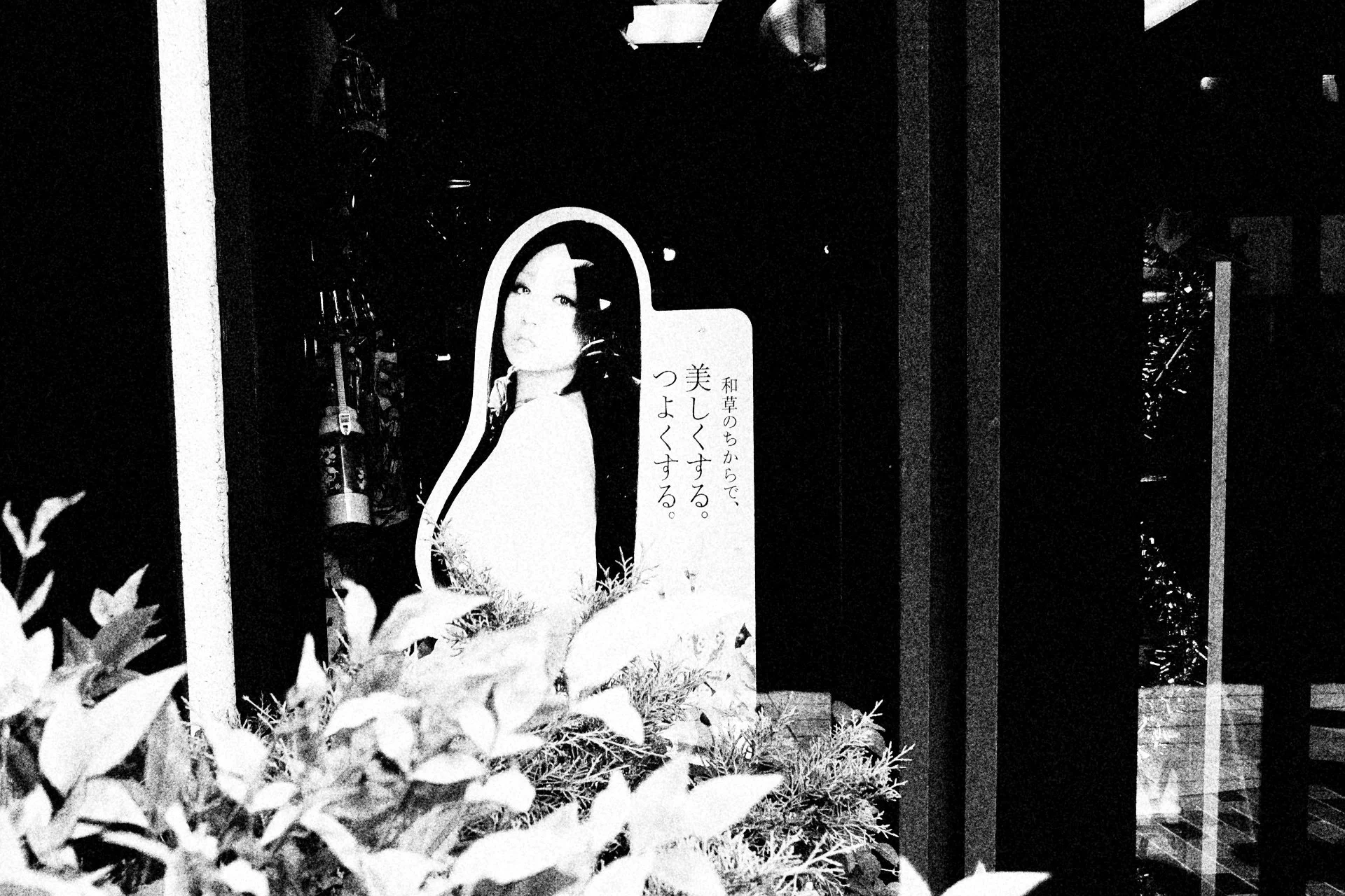 LOS ANGELES LITTLE TOKYO-108429.jpg