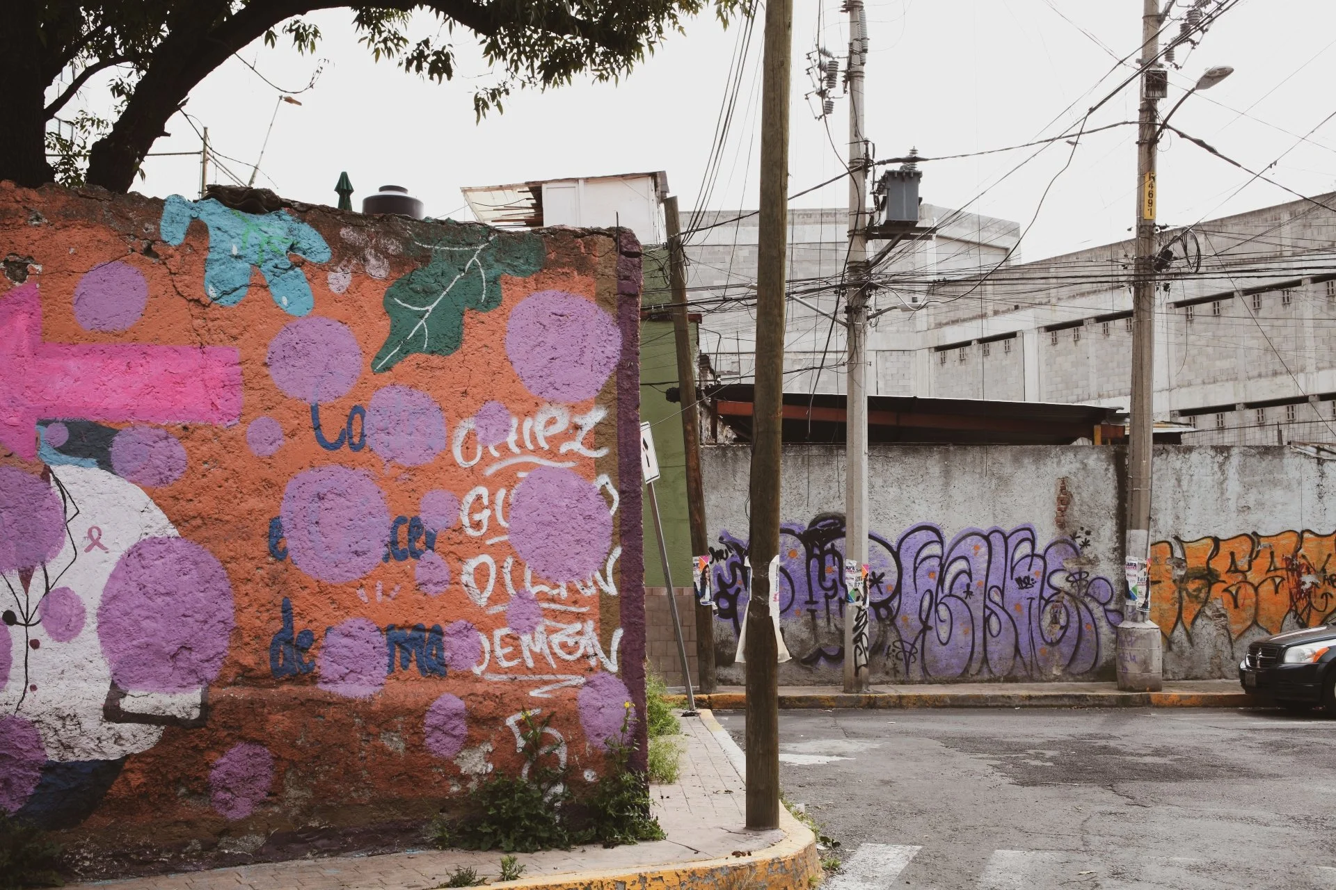 A graffiti mural on a weathered brick wall featuring purple circles, green leaves, and colorful text in an urban setting with utility poles and a large building in the background.