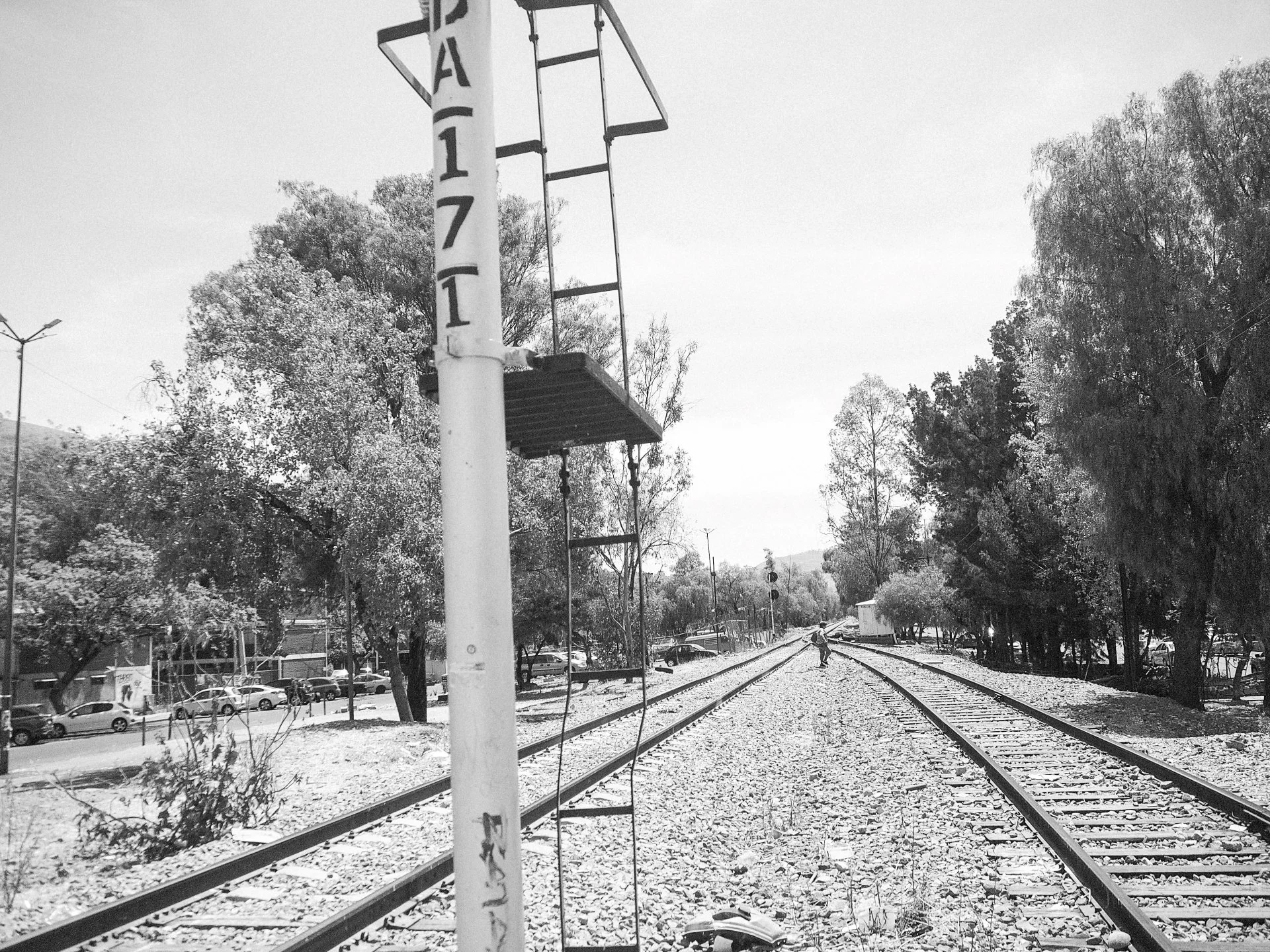 TOPOGRAPHICA B&W (2).jpg