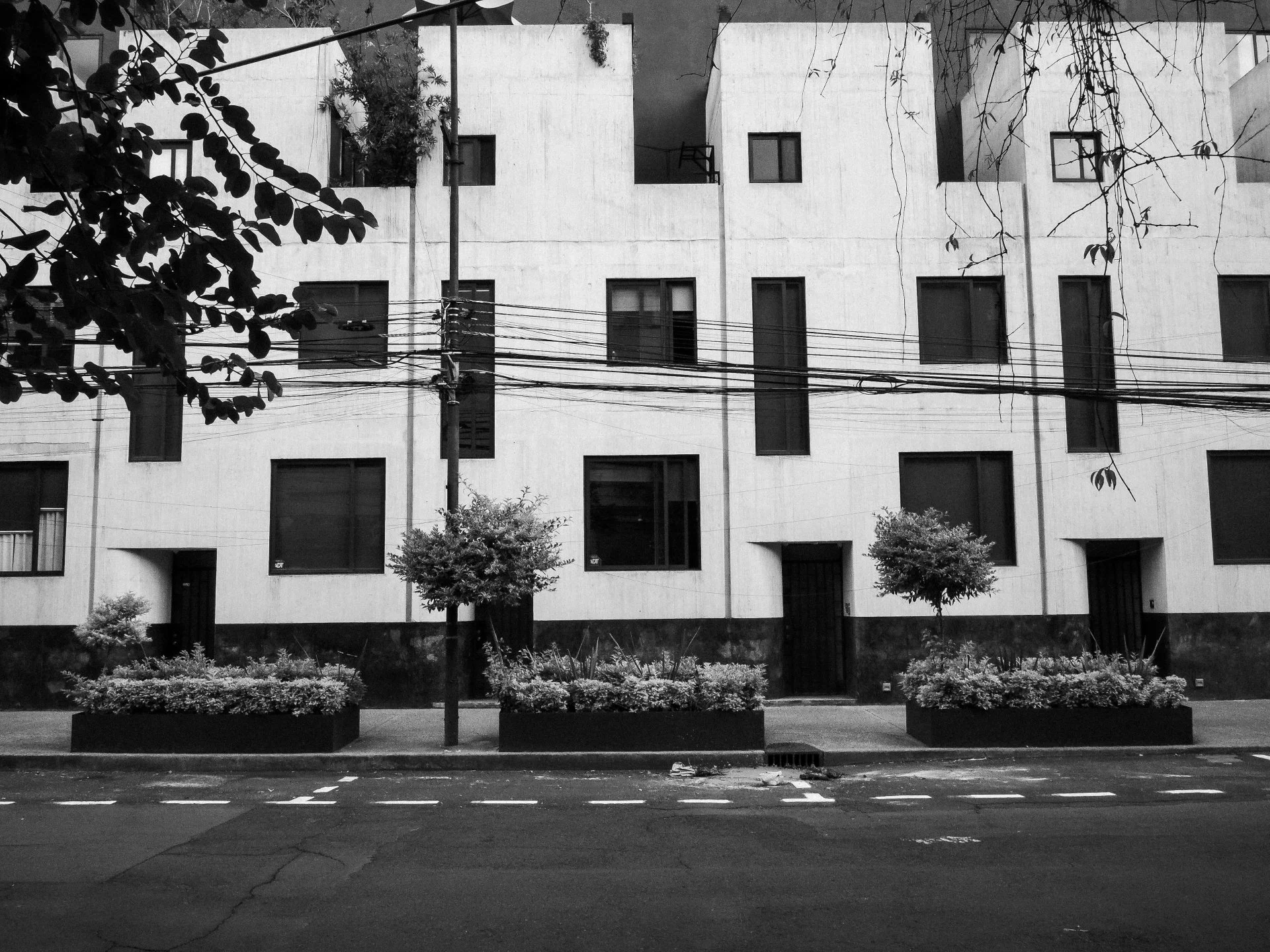 TOPOGRAPHICA B&W (14).jpg