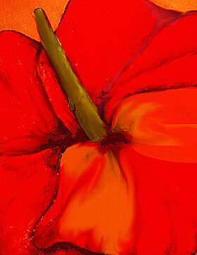 Red Bloom with Green Stamen
