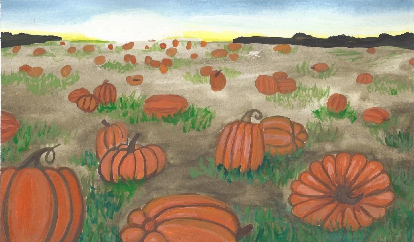 pumpkin+patch.jpg