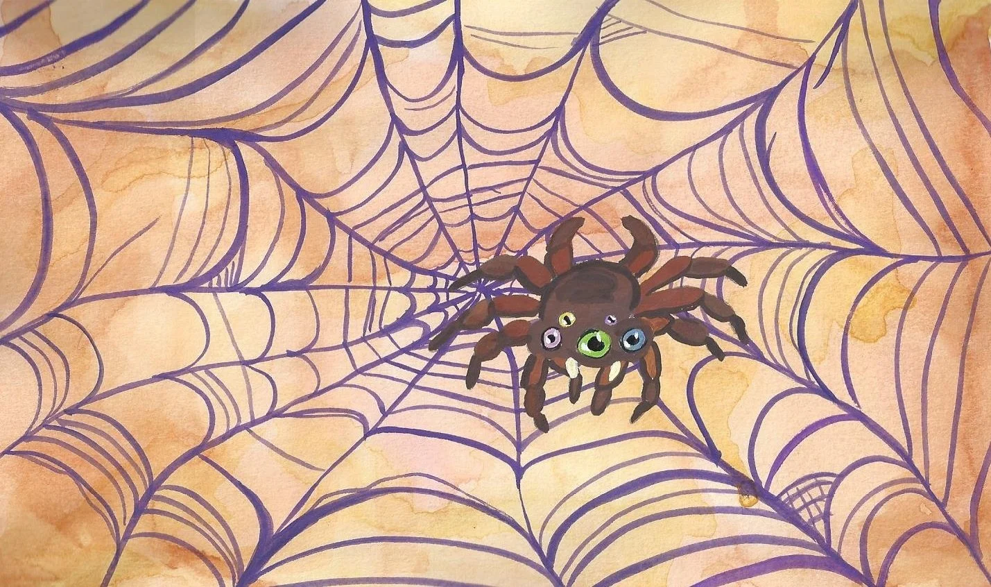 spider.jpg