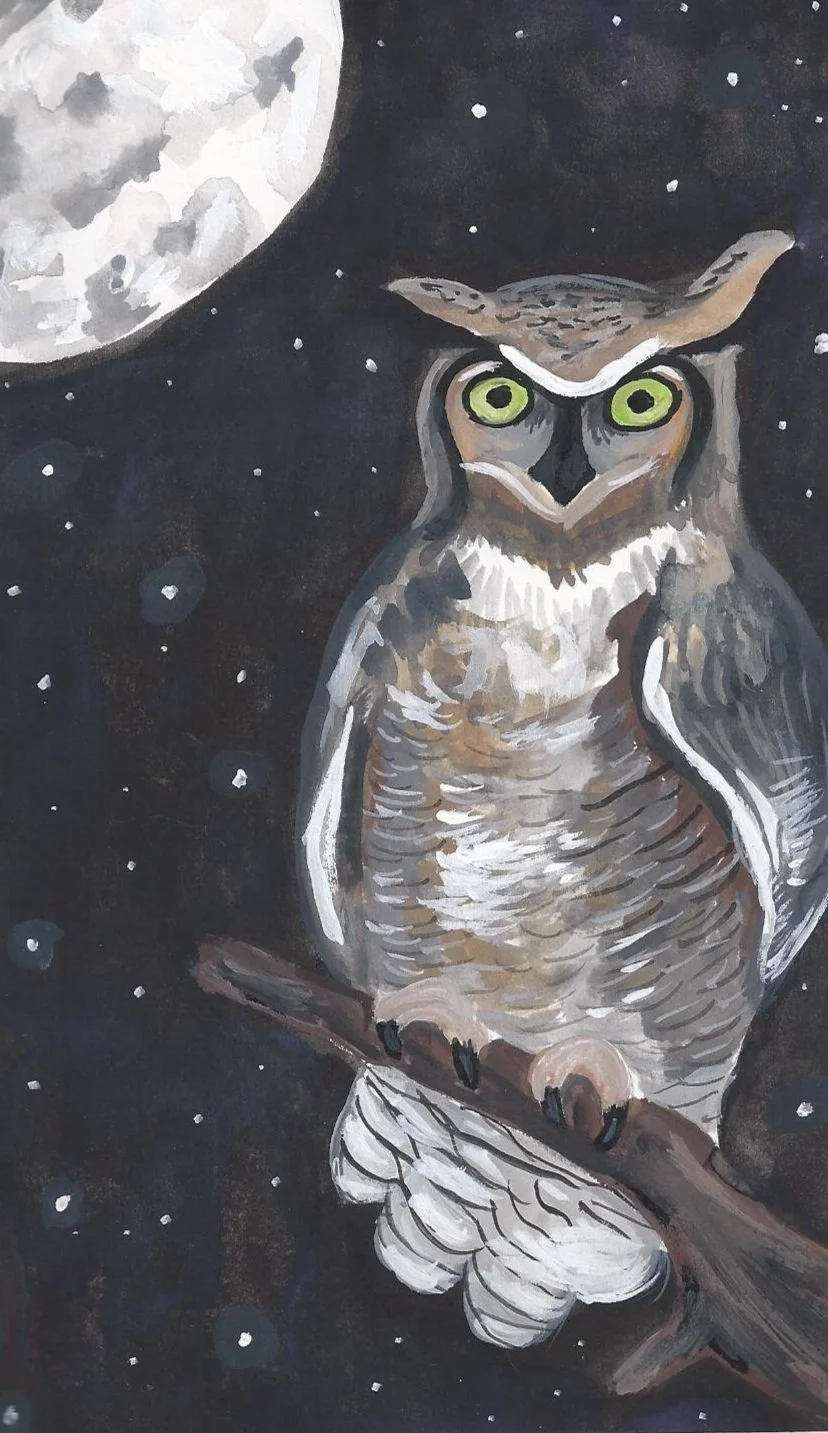 owl.jpg