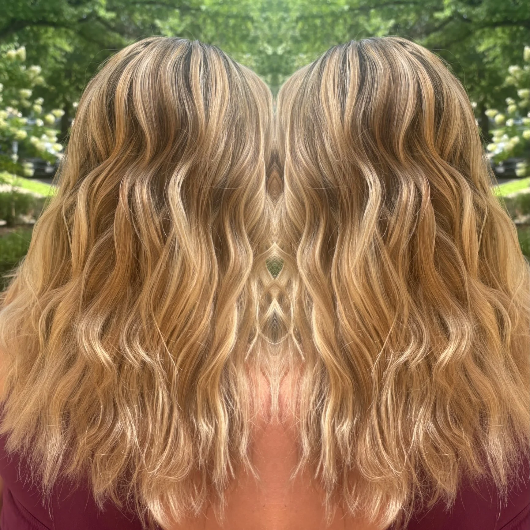 Goldie locks 💛💛💛🏆⭐️🏆🌟🥇🥇
