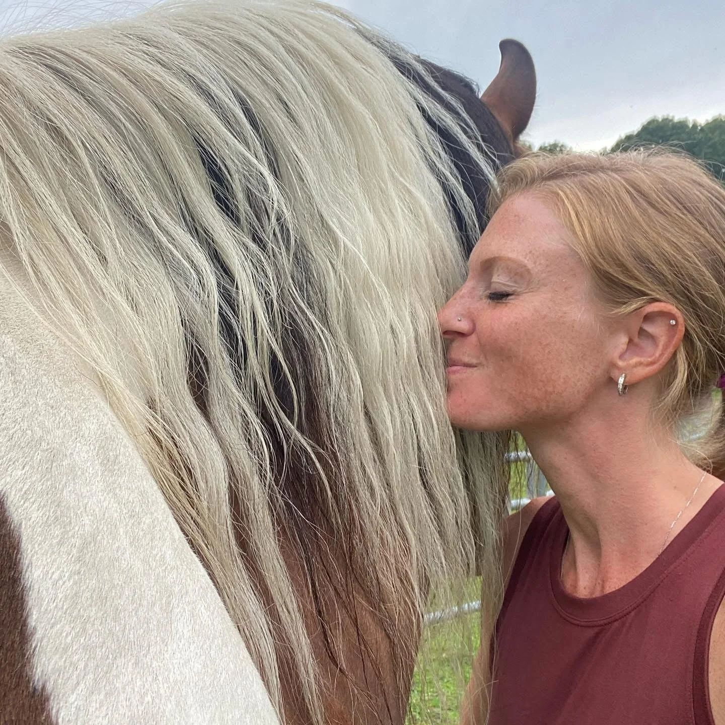 The Ground Beneath You: An Equine Assisted Energy Reset