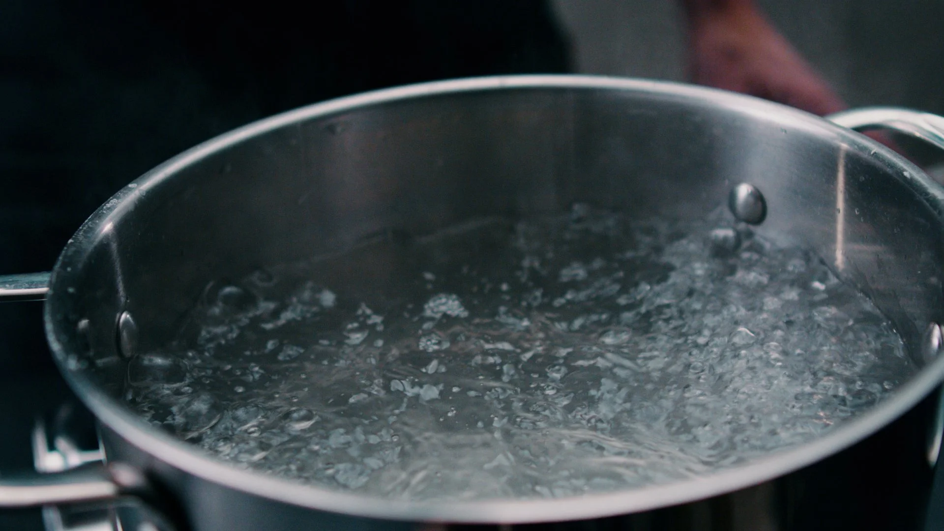 STEAK - v7.00_00_15_00.Still006.jpg