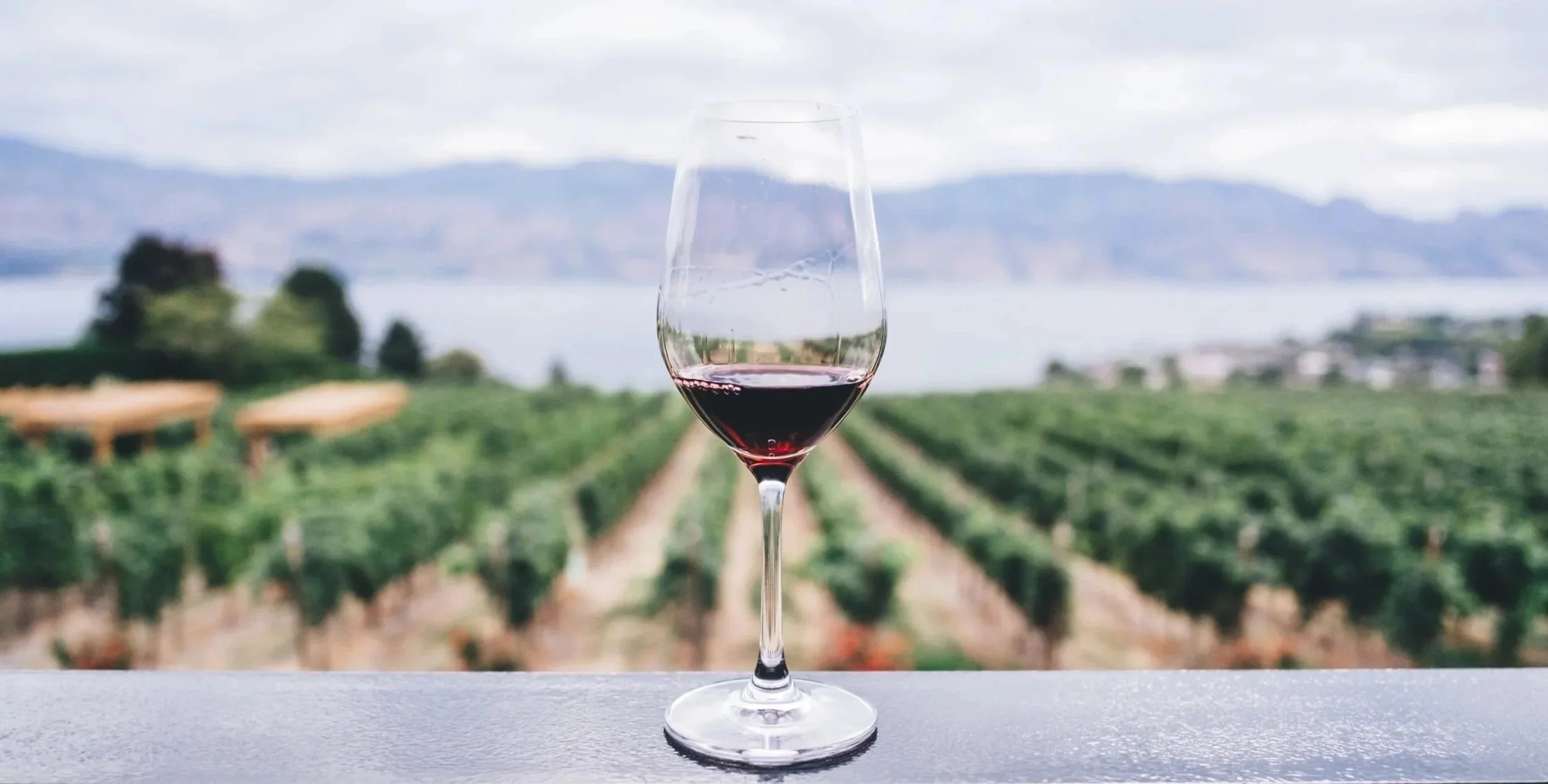 A glass of red wine on a surface with a vineyard and body of water in the background.