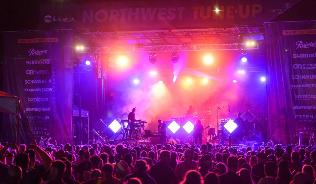 A live music concert with a band on stage illuminated by colorful purple, orange, and pink lights, and a large crowd of attendees watching.