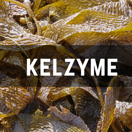 Kalzyme What are bio stimulants and how do they help soil? — Regenerative ...