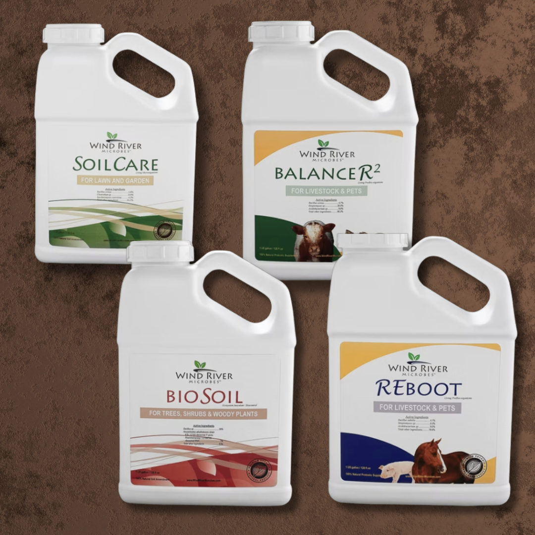 regenerative companies