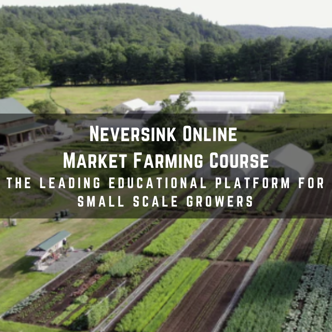 Unlock Excellence With Best Regenerative Agriculture Courses ...