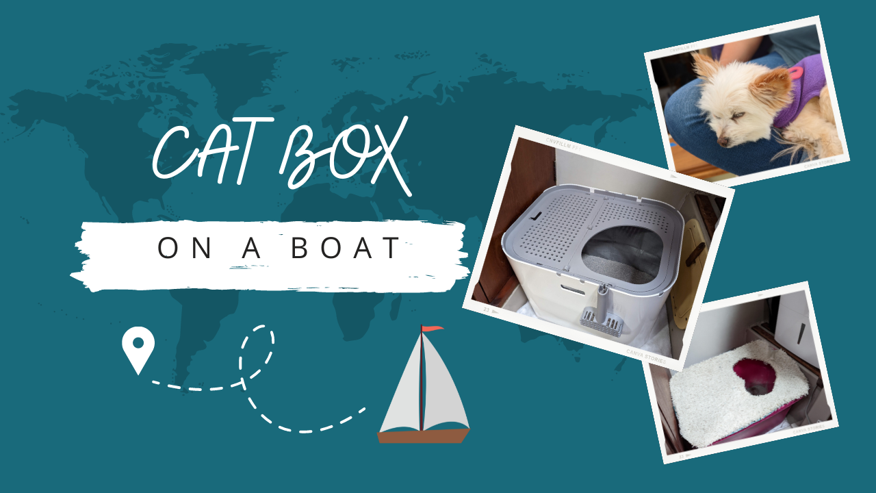 Cat Box on a Boat