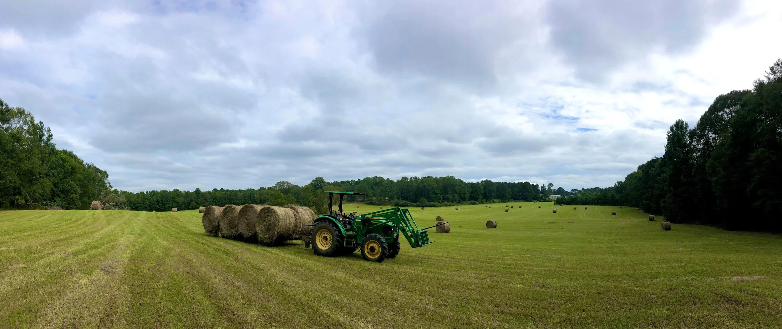 Persimmon Ridge Family Farm photo 5