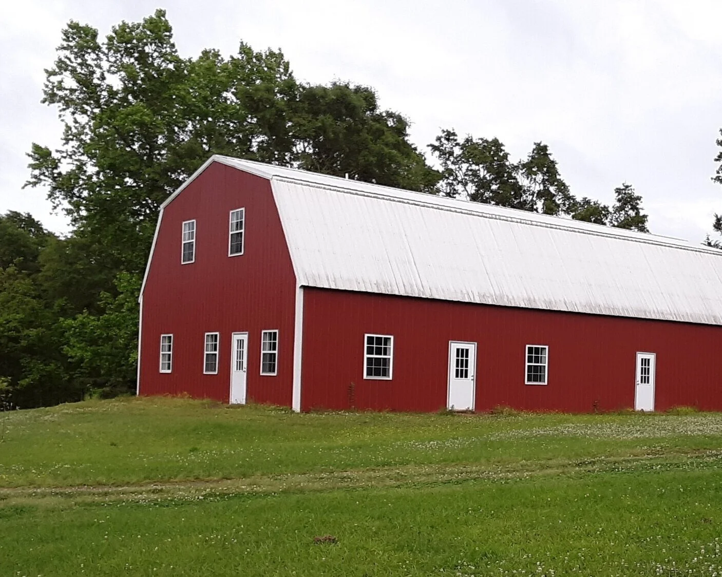 Persimmon Ridge Family Farm photo 7