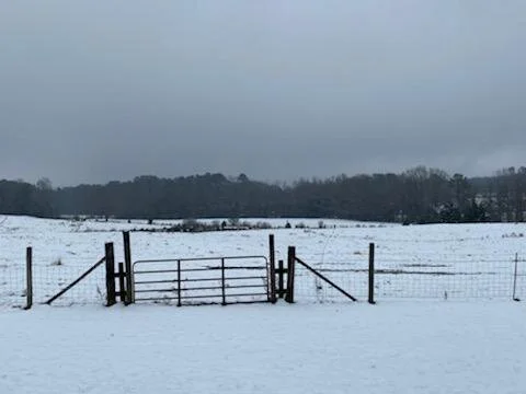 Persimmon Ridge Family Farm photo 8