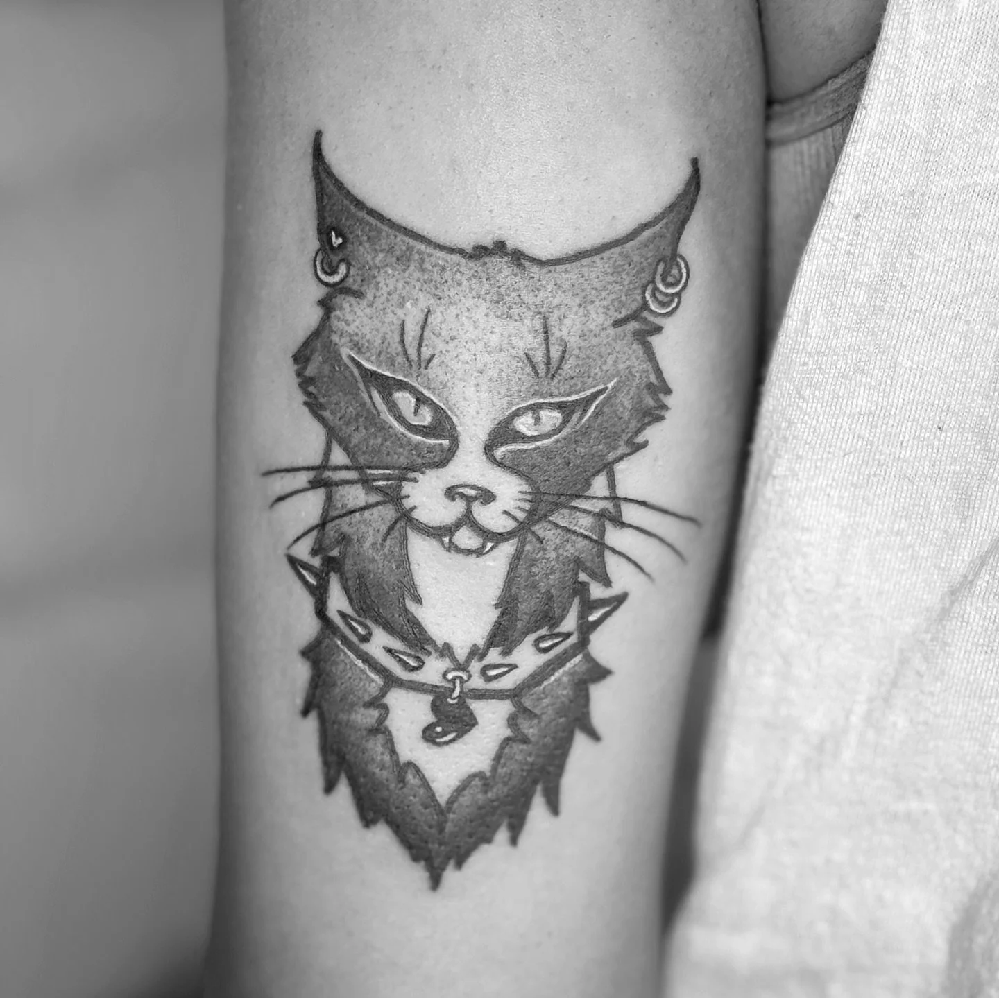 Gatito Punk 🐈&zwj;⬛🖤, dise&ntilde;o original por @k4r0l.404.tattoo 
🩸

Espacios disponibles, escribe al DM

🩸 

Made with: @dynamiccolor 

🩸🩸
&mdash;&mdash;&mdash;&mdash;&mdash;&mdash;&mdash;&mdash;&mdash;&mdash;&mdash;&mdash;&mdash;&mdash;&mda